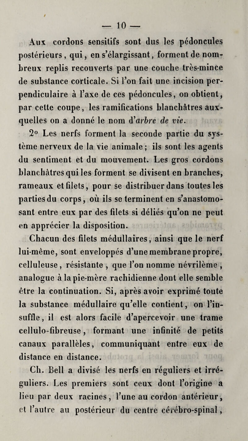 Aux cordons sensitifs sont dus les pédoncules postérieurs , qui, en s’élargissant, forment de nom¬ breux replis recouverts par une couche très-mince de substance corticale. Si l’on fait une incision per¬ pendiculaire à l’axe de ces pédoncules, on obtient, par cette coupe, les ramifications blanchâtres aux¬ quelles on a donné le nom Marbre de vie. 2° Les nerfs forment la seconde partie du sys¬ tème nerveux de la vie animale ; ils sont les agents du sentiment et du mouvement. Les gros cordons blanchâtres qui les forment se divisent en branches, rameaux et filets, pour se distribuer dans toutes les parties du corps, où ils se terminent en s’anastomo¬ sant entre eux par des filets si déliés qu’on ne peut en apprécier la disposition. Chacun des filets médullaires, ainsi que le nerf lui-même, sont enveloppés d’une membrane propre, celluleuse, résistante , que l’on nomme névrilème , analogue à la pie-mère rachidienne dont elle semble être la continuation. Si, après avoir exprimé toute la substance médullaire qu’elle contient, on l’in¬ suffle , il est alors facile d’apercevoir une trame cellulo-fibreuse, formant une infinité de petits canaux parallèles, communiquant entre eux de distance en distance. Ch. Bell a divisé les nerfs en réguliers et irré¬ guliers. Les premiers sont ceux dont l’origine a lieu par deux racines, l’une au cordon antérieur, et l’autre au postérieur du centre cérébro-spinal,