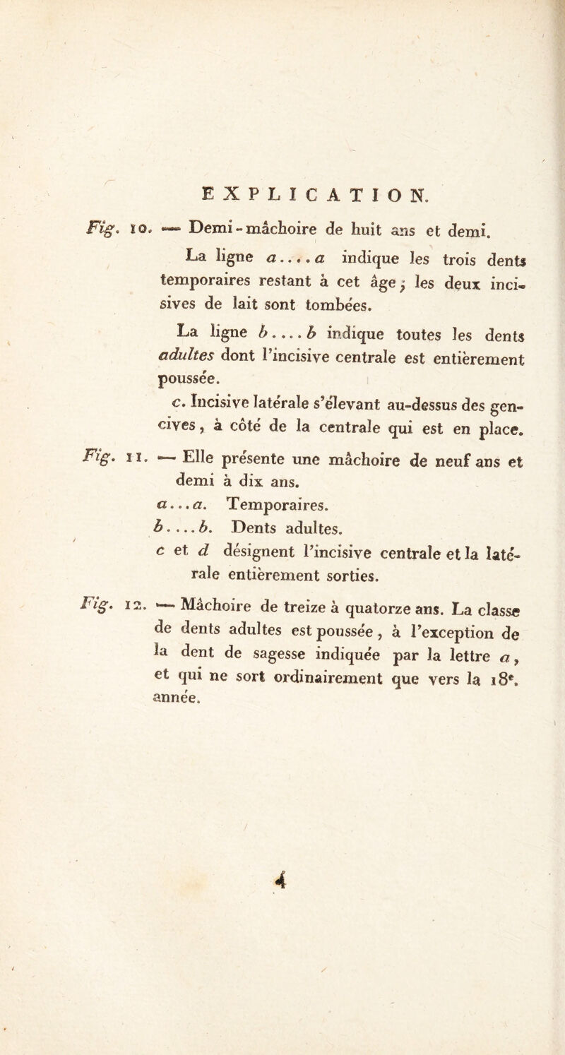 Fig. io. — Demi - mâchoire de huit ans et demi. La ligne a.., ,a indique les trois dents temporaires restant â cet âge; les deux in ci» sives de lait sont tombées. La ligne b... .b indique toutes les dents adultes dont l’incisive centrale est entièrement poussée. c. Incisive latérale s’élevant au-dessus des gen- cives, à coté de la centrale qui est en place» Fig* * i * Elle présente une mâchoire de neuf ans et demi â dix ans. a. .. a. Temporaires. b. . ..b. Dents adultes. c et d désignent l’incisive centrale et la laté- rale entièrement sorties. Fig. 12. ►— Mâchoire de treize à quatorze ans. La classe de dents adultes est poussée, à l’exception de la dent de sagesse indiquée par la lettre a, et qui ne sort ordinairement que vers la 18e. année. 4