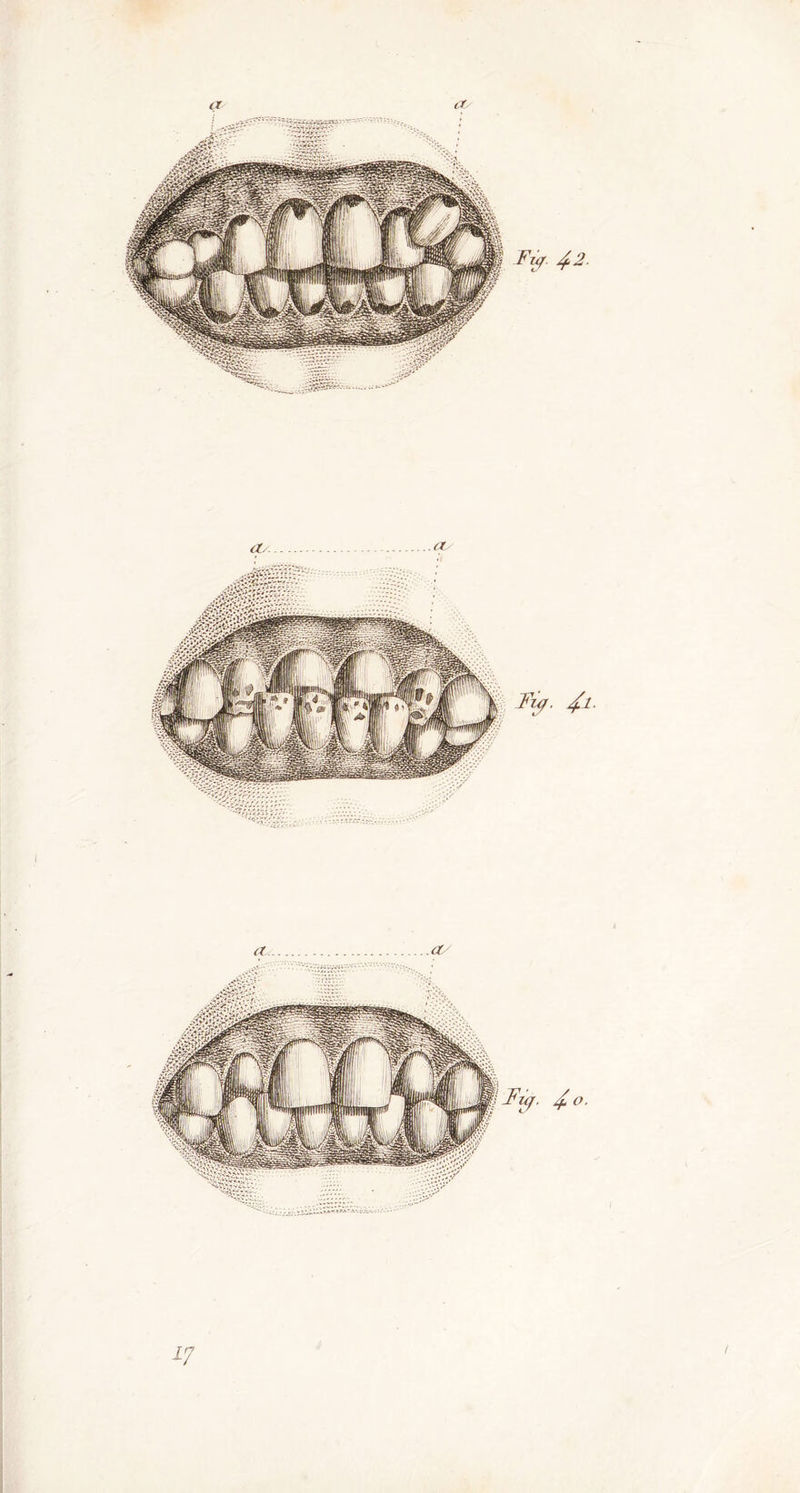 Fy 4 * Fuf. 41' FlCjf. /f. O. (