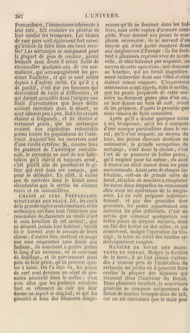 Pernambuco, l’insouciance inhérente à leur race, fait craindre en général de leur confier les troupeaux. Les blancs de race pure sont également fort rares; qu’iraient-ils faire dans ces lieux recu- lés? Les sertanejos se composent pour la plupart de gens de couleur, parmi lesquels sans doute il serait facile de reconnaître quelques-uns de ces rna- malucos,qui accompagnèrent les pre- miers Paulistes, et qui se sont mêlés depuis à d’autres métis. Ce qu’il y a de positif, c’est que ces hommes qui descendent de races si différentes , et qui durent accueillir dans l’origine une foule d’aventuriers que leurs délits avaient entraînés dans le désert, se sont adoucis peu à peu. Jadis les crimes étaient si fréquents, et ils étaient si rarement punis, que les sertanejos avaient une réputation redoutable parmi toutes les populations de l’inté- rieur. Aujourd’hui les meurtres sont d’une rareté extrême. Si, comme tous les pasteurs de l’Amérique méridio- nale, le sertanejo ne sort de son habi- tation qu’à cheval et toujours armé, c’est plutôt afin de poursuivre le gi- bier qui erre dans ses campos, que pour se défendre. En effet, il existe peu de contrées dans le Brésil aussi abondantes que le sertào en oiseaux rares et en mammifères. Chasse au cerf. Préparation SINGULIÈRE DES PEAUX. Ici, les Cerfs delà grandeespècesontcommuns,etles sertanejos ont dans tout l’intérieur une renommée de chasseurs au veado (c’est le nom brésilien de cet animal), que ne dément jamais leur habileté; tantôt ils le forcent avec le secours de leurs chiens ; d’autres fois, mettant en usage une ruse empruntée sans doute aux Indiens, ils marchent à quatre pattes le long d’un ruisseau, en se couvrant de feuillage, et ils parviennent ainsi près de leur proie, qu’ils peuvent ajus- ter à loisir. On l'a déjà vu, les peaux de cerf sont devenus un objet de pre- mière nécessité dans le sertào ; c’est avec elles que les pasteurs cavaliers font ce vêtement de cuir qui leur donne un aspect si original, et qui les garantit si bien des blessures dange- reuses qu’ils se feraient dans les hal- liers, sans cette espèce d’armure com- plète. Pour donner aux peaux la sou- plesse nécessaire, ils se servent d’un moyen qui n'est guère employé dans nos mégisseries d’Europe : ils les frot- tent à plusieurs reprises avec de la cer- velle , et elles finissent par acquérir, au moyen de cette opération, une douceur au toucher, qui les ferait singulière- ment rechercher dans nos villes si elles étaient mieux connues. L’expérience néanmoins ayant appris, dans le sertào, que les peaux préparées de cette ma- nière ne duraient guère plus d’un an, on leur donne un bain de suif, avant de les préparer, d’après le procédé que nous venons de faire connaître. Après qu’il a donné quelques soins à ses troupeaux, qu’il les a marqués d’une marque particulière dans le co- ral, qu’il s’est emparé, au moyen du laço, des jeunes chevaux destinés au commerce, la gronde occupation du sertanejo, c’est donc la chasse, c’est l’art de se procurer de belles peaux, qu’il emploie pour lui-même, ou dont il trouve un débit assuré dans les pays environnants. Aussi près de chaque ha- bitation, voit-on de grands cuirs de bœuf, attachés de manière à remplacer les cuves dans lesquelles on commence chez nous les opérations de la mégis- serie. Là on voit préparer indistinc- tement, et par des procèdes fort grossiers, les peaux appartenant aux animaux les plus différents. C’est du sertào que viennent quelquefois ces belles peaux de serpent sucuriu, dont on fait des bottes ou des selles, et qui conservent, malgré l’opération du tan- nage, la trace en relief des écailles sy- métriquement rangées. Manière de vivre des habi- tants du sertào. Malgré la fertilité de la terre, il ne faut jamais s’atten- dre à trouver près de l'habitation du sertanejo un jardin où il pourrait faire croître la plupart des légumes qui viennent dans l’intérieur du Brésil. Dans plusieurs localités,la nourriture générale se compose uniquement de farine de manioc trempée dans du lait, car on est convaincu que le maïs pro-