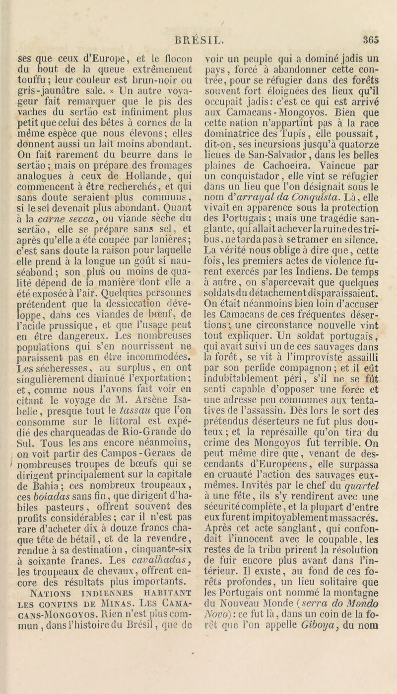 ses que ceux d’Europe, et le flocon du bout de la queue extrêmement touffu; leur couleur est brun-noir ou gris-jaunâtre sale. » Un autre voya- geur fait remarquer que le pis des vaches du sertao est infiniment plus petit que celui des bêtes à cornes de la même espèce que nous élevons; elles donnent aussi un lait moins abondant. On fait rarement du beurre dans le sertao ; mais on prépare des fromages analogues à ceux de Hollande, qui commencent à être recherchés, et qui sans doute seraient plus communs, si le sel devenait plus abondant. Quant à la carne secca, ou viande sèche du sertao, elle se prépare sans sel, et après qu’elle a été coupée par lanières ; c’est sans doute la raison pour laquelle elle prend à la longue un goût si nau- séabond ; son plus ou moins de qua- lité dépend de la manière dont elle a été exposée à l’air. Quelques personnes prétendent que la dessiccation déve- loppe, dans ces viandes de bœuf, de l’acide prussique, et que l’usage peut en être dangereux. Les nombreuses populations qui s’en nourrissent ne paraissent pas en être incommodées. Les sécheresses, au surplus, en ont singulièrement diminué l’exportation; et, comme nous l’avons fait voir en citant le voyage de M. Arsène Isa- belle , presque tout le tassau que l’on consomme sur le littoral est expé- dié des charqueadas de Rio-Grande do Sul. Tous les ans encore néanmoins, on voit partir des Campos-Geraes de i nombreuses troupes de bœufs qui se dirigent principalement sur la capitale de Bahia; ces nombreux troupeaux, ces boiaclas sans fin, que dirigent d’ha- biles pasteurs, offrent souvent des profits considérables ; car il n’est pas rare d’acheter dix à douze francs cha- que tête de bétail, et de la revendre, rendue à sa destination , cinquante-six à soixante francs. Les cavalhadas, les troupeaux de chevaux, offrent en- core des résultats plus importants. Nations indiennes habitant LES CONFINS DE MlNAS. LES CAMA- cans-Mongoyos. Rien n’est plus com- mun , dans l’histoire du Brésil, que de voir un peuple qui a dominé jadis un pays, forcé à abandonner cette con- trée, pour se réfugier dans des forêts souvent fort éloignées des lieux qu’il occupait jadis: c’est ce qui est arrivé aux Camacans-Mongoyos. Bien que cette nation n’appartint pas à la race dominatrice desTupis, elle poussait, dit-on, ses incursions jusqu’à quatorze lieues de San-Salvador, dans les belles plaines de Cachoeira. Vaincue par un conquistador, elle vint se réfugier dans un lieu que l’on désignait sous le nom d'arrayal da Conquista. Là, elle vivait en apparence sous la protection des Portugais; mais une tragédie san- glante, quiallaitacheverlaruinedestri- bus.netardapasà setramer en silence. La vérité nous oblige à dire que, cette fois, les premiers actes de violence fu- rent exercés par les Indiens. De temps à autre, on s’apercevait que quelques soldats du détachement disparaissaient. On était néanmoins bien loin d’accuser les Camacans de ces fréquentes déser- tions; une circonstance nouvelle vint tout expliquer. Un soldat portugais, qui avait suivi un de ces sauvages dans la forêt, se vit à l’improviste assailli par son perfide compagnon ; et il eut indubitablement péri, s’il ne se fût senti capable d’opposer une force et une adresse peu communes aux tenta- tives de l’assassin. Dès lors le sort des prétendus déserteurs ne fut plus dou- teux ; et la représaille qu’on tira du crime des Mongojos fut terrible. On peut même dire que, venant de des- cendants d’Européens, elle surpassa en cruauté l’action des sauvages eux- mêmes. Invités par le chef du quartel à une fête, ils s’y rendirent avec une sécurité complète, et la plupart d’entre eux furent impitoyablement massacrés. Après cet acte sanglant, qui confon- dait l’innocent avec le coupable, les restes de la tribu prirent la résolution de fuir encore plus avant dans l’in- térieur. Il existe, au fond de ces fo- rêts profondes, un lieu solitaire que les Portugais ont nommé la montagne du Nouveau Monde (serra do Mondo Nova) : ce fut là, dans un coin de la fo- rêt que l’on appelle Giboya, du nom