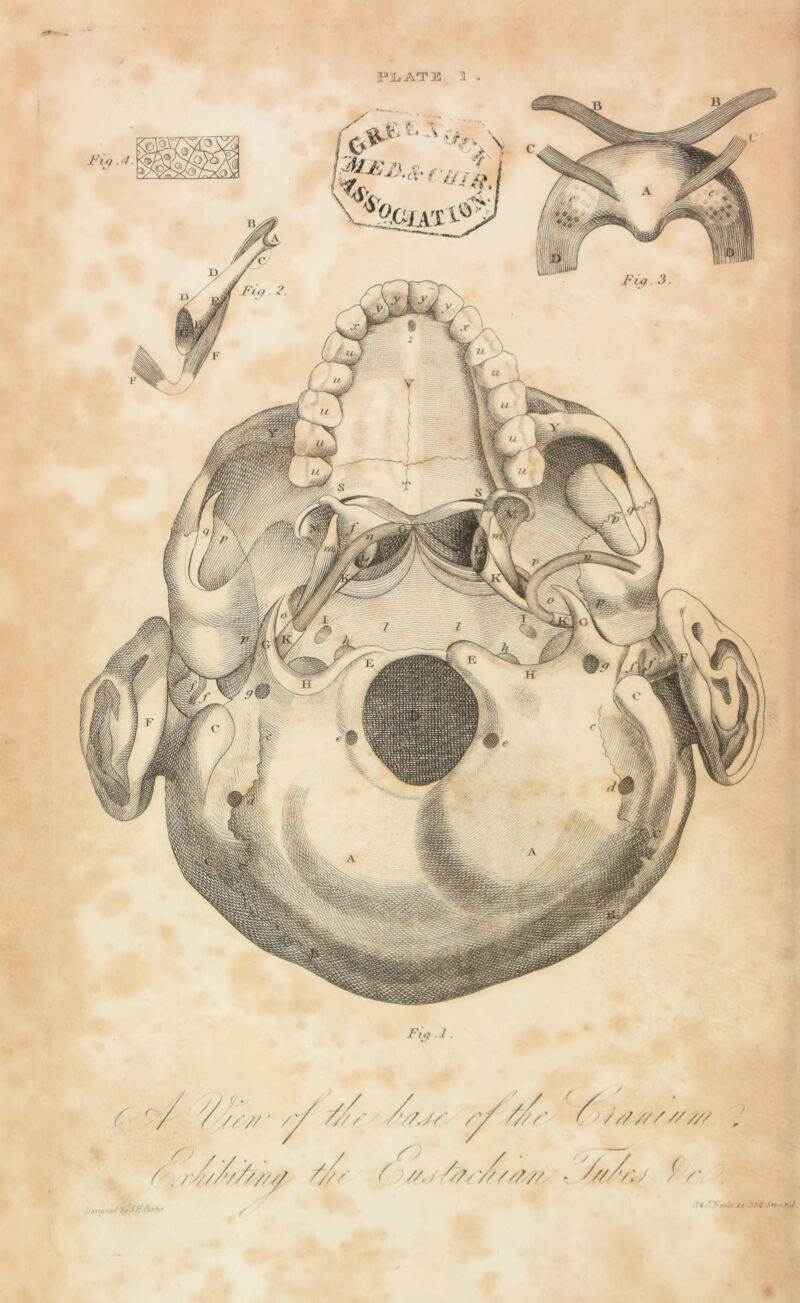 1 FLo l. V/'y Sv/J/'. v/ c y / / • ( //. V// /////// /////////// 9r ///'/; y * ■ /<• v-.'-i1 Sn-<\nA