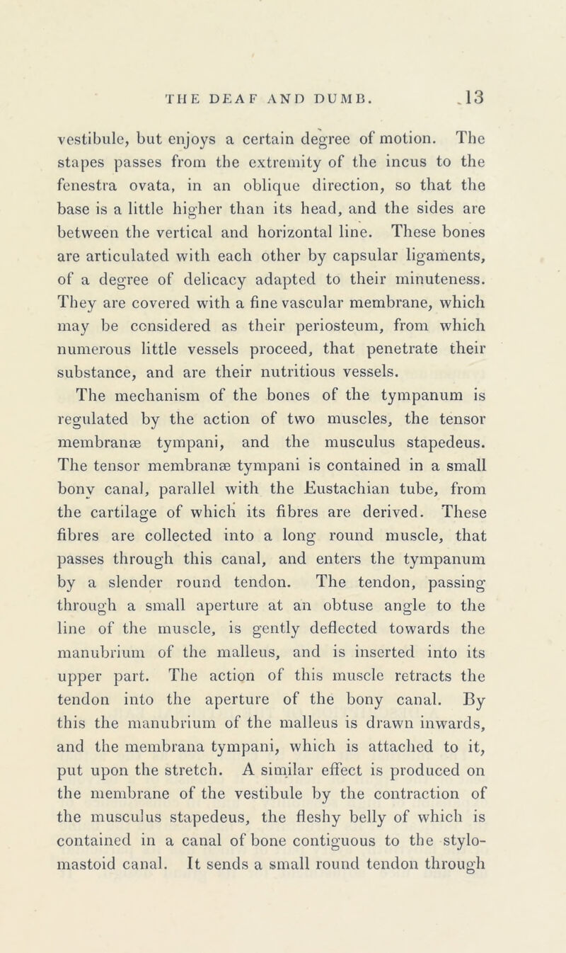 vestibule, but enjoys a certain degree of motion. The stapes passes from the extremity of the incus to the fenestra ovata, in an oblique direction, so that the base is a little higher than its head, and the sides are between the vertical and horizontal line. These bones are articulated with each other by capsular ligaments, of a degree of delicacy adapted to their minuteness. They are covered with a fine vascular membrane, which may be considered as their periosteum, from which numerous little vessels proceed, that penetrate their substance, and are their nutritious vessels. The mechanism of the bones of the tympanum is regulated by the action of two muscles, the tensor membranse tympani, and the musculus stapedeus. The tensor membranse tympani is contained in a small bony canal, parallel with the Eustachian tube, from the cartilage of which its fibres are derived. These fibres are collected into a long round muscle, that passes through this canal, and enters the tympanum by a slender round tendon. The tendon, passing through a small aperture at an obtuse angle to the line of the muscle, is gently deflected towards the manubrium of the malleus, and is inserted into its upper part. The action of this muscle retracts the tendon into the aperture of the bony canal. By this the manubrium of the malleus is drawn inwards, and the membrana tympani, which is attached to it, put upon the stretch. A similar effect is produced on the membrane of the vestibule by the contraction of the musculus stapedeus, the fleshy belly of which is contained in a canal of bone contiguous to the stylo- mastoid canal. It sends a small round tendon through
