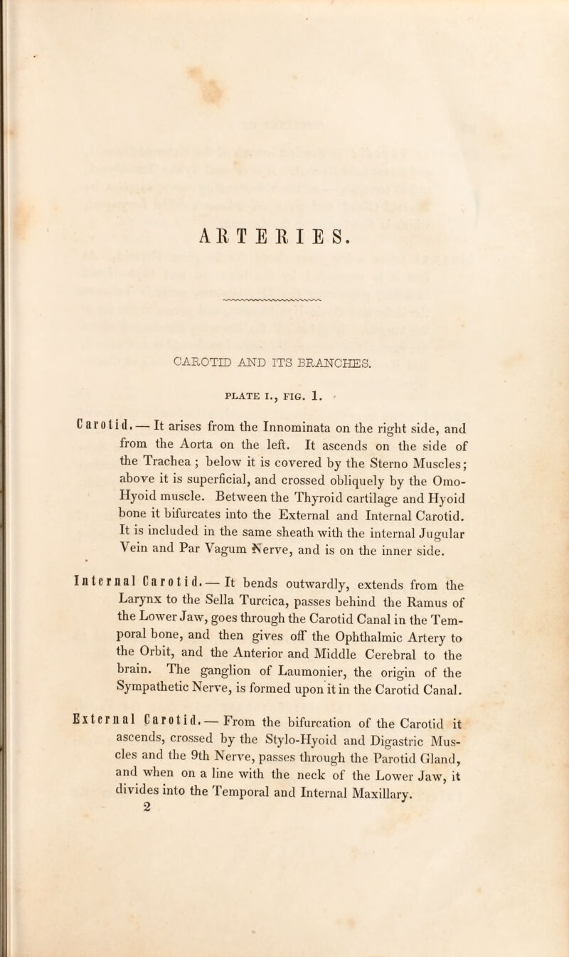 CAROTID AND ITS BRANCHES. PLATE I., FIG. 1. I ar o 1 i d. — It arises from the Innominata on the right side, and from the Aorta on the left. It ascends on the side of the Trachea ; below it is covered by the Sterno Muscles; above it is superficial, and crossed obliquely by the Omo- Hyoid muscle. Between the Thyroid cartilage and Hyoid bone it bifurcates into the External and Internal Carotid. It is included in the same sheath with the internal Ju pillar Vein and Par Vagum Nerve, and is on the inner side. Internal Carotid. — It bends outwardly, extends from the Larynx to the Sella Turcica, passes behind the Ramus of the Lower Jaw, goes through the Carotid Canal in the Tem¬ poral bone, and then gives off the Ophthalmic Artery to the Orbit, and the Anterior and Middle Cerebral to the brain. The ganglion of Laumonier, the origin of the Sympathetic Nerve, is formed upon it in the Carotid Canal. External Carotid.— From the bifurcation of the Carotid it ascends, crossed by the Stylo-Hyoid and Digastric Mus¬ cles and the 9th Nerve, passes through the Parotid Gland, and when on a line with the neck of the Lower Jaw, it divides into the Temporal and Internal Maxillary. 2