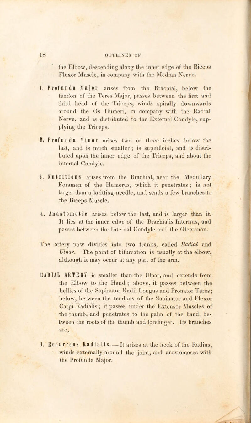 the Elbow, descending along the inner edge of the Biceps Flexor Muscle, in company with the Median Nerve. 1. Profunda Major arises from the Brachial, below the tendon of the Teres Major, passes between the first and third head of the Triceps, winds spirally downwards around the Os Humeri, in company with the Radial Nerve, and is distributed to the External Condyle, sup¬ plying the Triceps. S. Profunda Minor arises two or three inches below the last, and is much smaller ; is superficial, and is distri¬ buted upon the inner edge of the Triceps, and about the internal Condyle. 3. Nutritious arises from the Brachial, near the Medullary Foramen of the Humerus, which it penetrates ; is not larger than a knitting-needle, and sends a few branches to the Biceps Muscle. 4. Anastomotic arises below the last, and is larger than it. It lies at the inner edge of the Brachialis Internus, and passes between the Internal Condyle and the Olecranon. The artery now divides into two trunks, called Radial and Ulnar. The point of bifurcation is usually at the elbow, although it may occur at any part of the arm. RADIAL ARTERY is smaller than the Ulnar, and extends from the Elbow to the Hand ; above, it passes between the bellies of the Supinator Radii Longus and Pronator Teres; below, between the tendons of the Supinator and Flexor Carpi Radialis; it passes under the Extensor Muscles of the thumb, and penetrates to the palm of the hand, be¬ tween the roots of the thumb and forefinger. Its branches are, 1. Recurrcns Radialis. — It arises at the neck of the Radius, winds externally around the joint, and anastomoses with the Profunda Major.