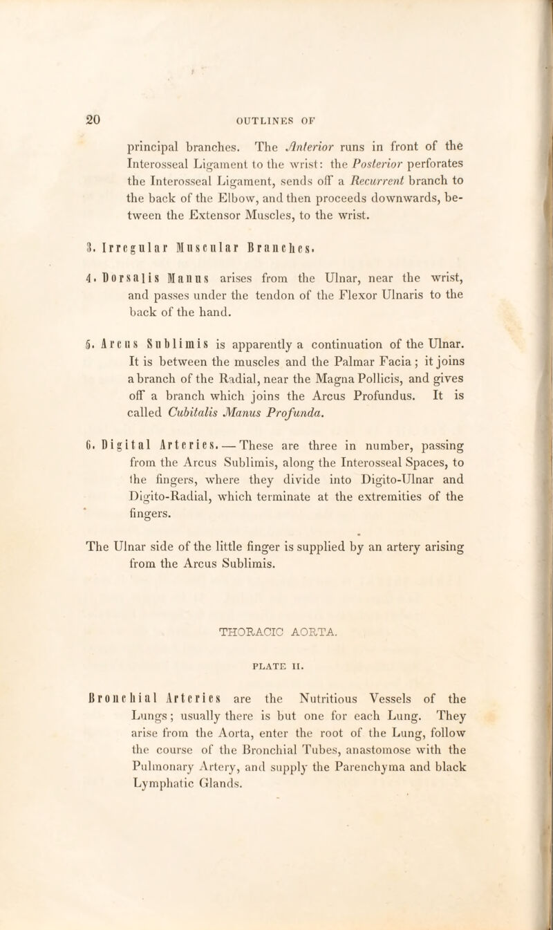 principal branches. The Anterior runs in front of the Interosseal Ligament to the wrist: the Posterior perforates the Interosseal Ligament, sends off a Recurrent branch to the back of the Elbow, and then proceeds downwards, be¬ tween the Extensor Muscles, to the wrist. 3. Irregular Muscular Branches. 4. Dorsalis Manus arises from the Ulnar, near the wrist, and passes under the tendon of the Flexor Ulnaris to the back of the hand. 5. Arcus Sublimis is apparently a continuation of the Ulnar. It is between the muscles and the Palmar Facia; it joins a branch of the Radial, near the Magna Pollicis, and gives off a branch which joins the Arcus Profundus. It is called Cubitalis Manus Profunda. C. Digital Arteries. — These are three in number, passing from the Arcus Sublimis, along the Interosseal Spaces, to Ihe fingers, where they divide into Digito-Ulnar and Digito-Radial, which terminate at the extremities of the fingers. The Ulnar side of the little finger is supplied by an artery arising from the Arcus Sublimis. THORACIC AORTA. PLATE II. Bronchial Arteries are the Nutritious Vessels of the Lungs; usually there is but one for each Lung. They arise from the Aorta, enter the root of the Lung, follow the course of the Bronchial Tubes, anastomose with the Pulmonary Artery, and supply the Parenchyma and black Lymphatic Glands.