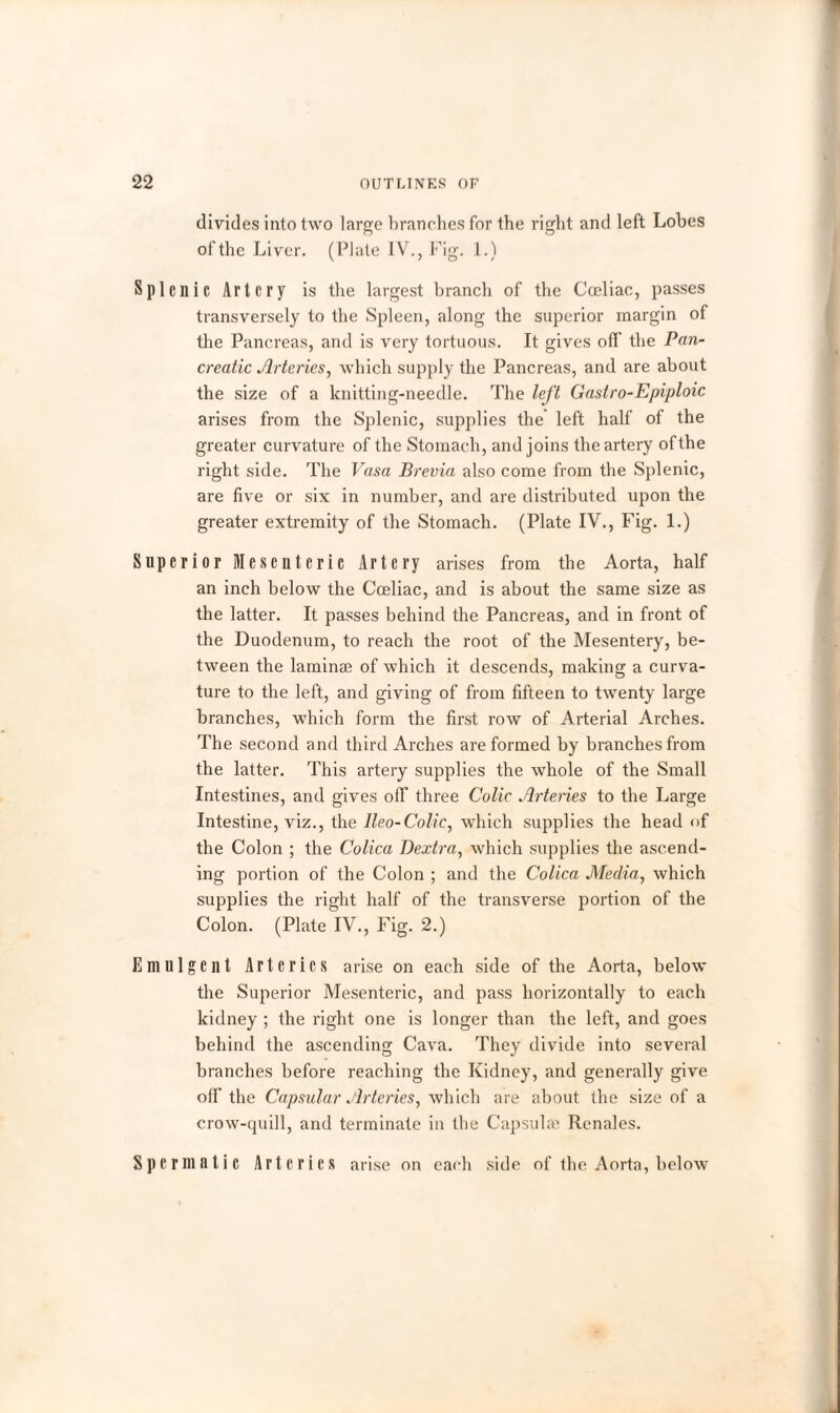 divides into two large branches for the right and left Lobes of the Liver. (Plate IV., Fig. 1.) Splenic Artery is the largest branch of the Cceliac, passes transversely to the Spleen, along the superior margin of the Pancreas, and is very tortuous. It gives off the Pan¬ creatic Arteries, which supply the Pancreas, and are about the size of a knitting-needle. The left Gastro-Epiploic arises from the Splenic, supplies the left half of the greater curvature of the Stomach, and joins the artery of the right side. The Vasa Brevia also come from the Splenic, are five or six in number, and are distributed upon the greater extremity of the Stomach. (Plate IV., Fig. 1.) Superior Mesenteric Artery arises from the Aorta, half an inch below the Cceliac, and is about the same size as the latter. It passes behind the Pancreas, and in front of the Duodenum, to reach the root of the Mesentery, be¬ tween the laminae of which it descends, making a curva¬ ture to the left, and giving of from fifteen to twrenty large branches, which form the first row of Arterial Arches. The second and third Arches are formed by branches from the latter. This artery supplies the whole of the Small Intestines, and gives off three Colic Arteries to the Large Intestine, viz., the Ileo-Colic, which supplies the head of the Colon ; the Colica Dextra, which supplies the ascend¬ ing portion of the Colon ; and the Colica Media, which supplies the right half of the transverse portion of the Colon. (Plate IV., Fig. 2.) Emulgcnt Arteries arise on each side of the Aorta, below the Superior Mesenteric, and pass horizontally to each kidney ; the right one is longer than the left, and goes behind the ascending Cava. They divide into several branches before reaching the Kidney, and generally give off the Capsular Arteries, which are about the size of a crow-quill, and terminate in the Capsulae Renales. Spermatic Arteries arise on each side of the Aorta, below