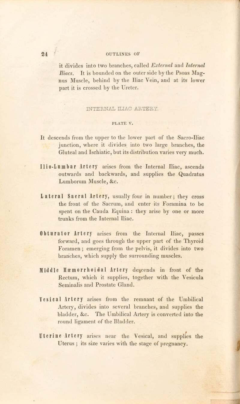 it divides into two branches, called External and Internal lilacs. It is bounded on the outer side by the Psoas Mag¬ nus Muscle, behind by the Iliac Vein, and at its lower part it is crossed by the Ureter. INTERNAL ILIAC ARTERY. PLATE V. It descends from the upper to the lower part of the Sacro-Iliac junction, where it divides into two large branches, the Gluteal and Ischiatic, but its distribution varies very much. 11 i 0-L u ill 1) a r Artery arises from the Internal Iliac, ascends outwards and backwards, and supplies the Quadratus Lumborum Muscle, &c. Lateral Sacral Artery, usually four in number; they cross the front of the Sacrum, and enter its Foramina to be spent on the Cauda Equina : they arise by one or more trunks from the Internal Iliac. Obturator Artery arises from the Internal Iliac, passes forward, and goes through the upper part of the Thyroid Foramen; emerging from the pelvis, it divides into two branches, which supply the surrounding muscles. Middle Hemorrhoidal Artery descends in front of the Rectum, which it supplies, together with the Vesicula Seminalis and Prostate Gland. Vesical Artery arises from the remnant of the Umbilical Artery, divides into several branches, and supplies the bladder, &c. The Umbilical Artery is converted into the round ligament of the Bladder. Uterine Artery arises near the Vesical, and supplies the Uterus ; its size varies with the stage of pregnancy.