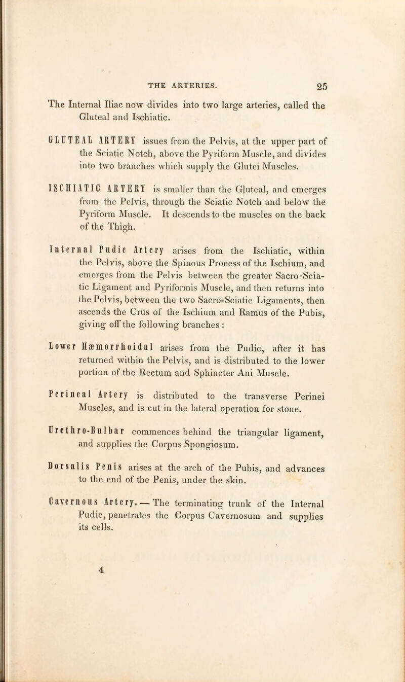 The Internal Iliac now divides into two large arteries, called the Gluteal and Ischiatic. GLUTEAL ARTERY issues from the Pelvis, at the upper part of the Sciatic Notch, above the Pyriform Muscle, and divides into two branches which supply the Glutei Muscles. ISCHIATIC ARTERY is smaller than the Gluteal, and emerges from the Pelvis, through the Sciatic Notch and below the Pyriform Muscle. It descends to the muscles on the back of the Thigh. Internal Pudic Artery arises from the Ischiatic, within the Pelvis, above the Spinous Process of the Ischium, and emerges from the Pelvis between the greater Sacro-Scia¬ tic Ligament and Pyriformis Muscle, and then returns into the Pelvis, between the two Sacro-Sciatic Ligaments, then ascends the Crus of the Ischium and Ramus of the Pubis, giving off the following branches : Lower H a: ill o r r li o i d a 1 arises from the Pudic, after it has returned within the Pelvis, and is distributed to the lower portion of the Rectum and Sphincter Ani Muscle. Perineal Artery is distributed to the transverse Perinei Muscles, and is cut in the lateral operation for stone. Cr e t hr o-Bu 1 bar commences behind the triangular ligament, and supplies the Corpus Spongiosum. Dorsalis Penis arises at the arch of the Pubis, and advances to the end of the Penis, under the skin. Cavernous Artery. — The terminating trunk of the Internal Pudic, penetrates the Corpus Cavernosum and supplies its cells. 4