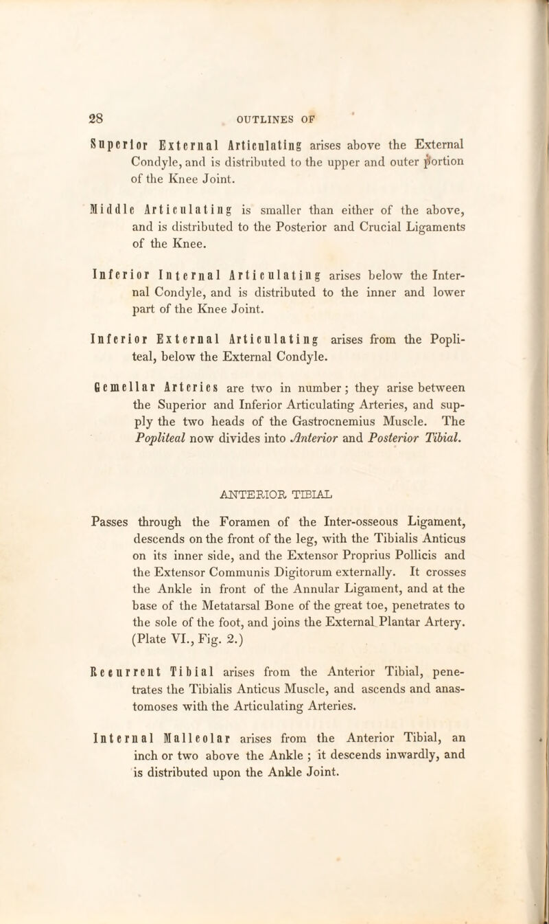 Superior External Articulating arises above the External Condyle, and is distributed to the upper and outer portion of the Knee Joint. Middle Articulating is smaller than either of the above, and is distributed to the Posterior and Crucial Ligaments of the Knee. Inferior Internal Articulating arises below the Inter¬ nal Condyle, and is distributed to the inner and lower part of the Knee Joint. Inferior External Articulating arises from the Popli¬ teal, below the External Condyle. fiemellar Arteries are two in number; they arise between the Superior and Inferior Articulating Arteries, and sup¬ ply the two heads of the Gastrocnemius Muscle. The Popliteal now divides into Anterior and Posterior Tibial. ANTERIOR TIBIAL Passes through the Foramen of the Inter-osseous Ligament, descends on the front of the leg, with the Tibialis Anticus on its inner side, and the Extensor Proprius Pollicis and the Extensor Communis Digitorum externally. It crosses the Ankle in front of the Annular Ligament, and at the base of the Metatarsal Bone of the great toe, penetrates to the sole of the foot, and joins the External Plantar Artery. (Plate VI., Fig. 2.) Recurrent Tibial arises from the Anterior Tibial, pene¬ trates the Tibialis Anticus Muscle, and ascends and anas¬ tomoses with the Articulating Arteries. Internal Malleolar arises from the Anterior Tibial, an inch or two above the Ankle ; it descends inwardly, and is distributed upon the Ankle Joint.