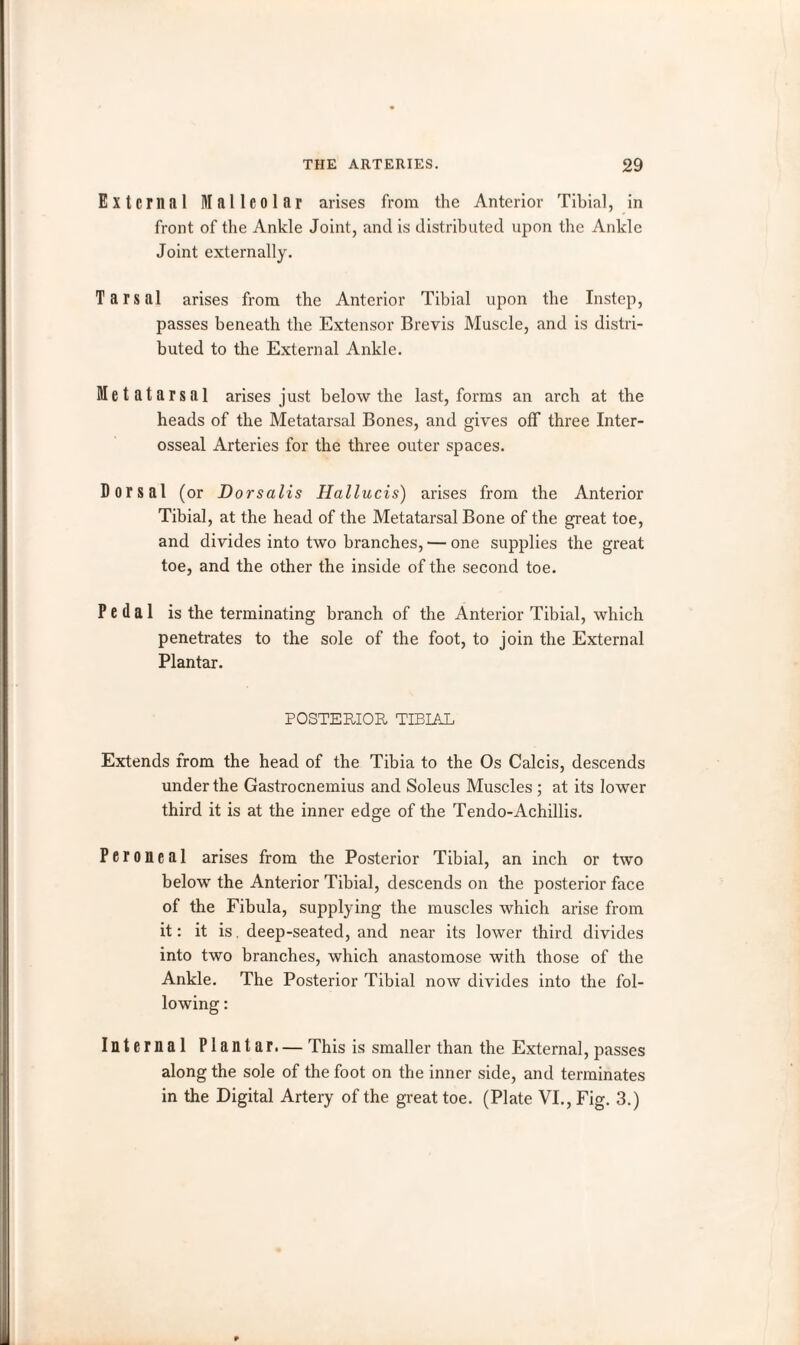 External Malleolar arises from the Anterior Tibial, in front of the Ankle Joint, and is distributed upon the Ankle Joint externally. Tarsal arises from the Anterior Tibial upon the Instep, passes beneath the Extensor Brevis Muscle, and is distri¬ buted to the External Ankle. Metatarsal arises just below the last, forms an arch at the heads of the Metatarsal Bones, and gives off three Inter¬ osseal Arteries for the three outer spaces. Dorsal (or Dorsalis Hallucis) arises from the Anterior Tibial, at the head of the Metatarsal Bone of the great toe, and divides into two branches, — one supplies the great toe, and the other the inside of the second toe. Pedal is the terminating branch of the Anterior Tibial, which penetrates to the sole of the foot, to join the External Plantar. POSTERIOR TIBIAL Extends from the head of the Tibia to the Os Calcis, descends under the Gastrocnemius and Soleus Muscles ; at its lower third it is at the inner edge of the Tendo-Achillis. Peroneal arises from the Posterior Tibial, an inch or two below the Anterior Tibial, descends on the posterior face of the Fibula, supplying the muscles which arise from it: it is. deep-seated, and near its lower third divides into two branches, which anastomose with those of the Ankle. The Posterior Tibial now divides into the fol¬ lowing : Internal Plantar. — This is smaller than the External, passes along the sole of the foot on the inner side, and terminates in the Digital Artery of the great toe. (Plate VI., Fig. 3.)