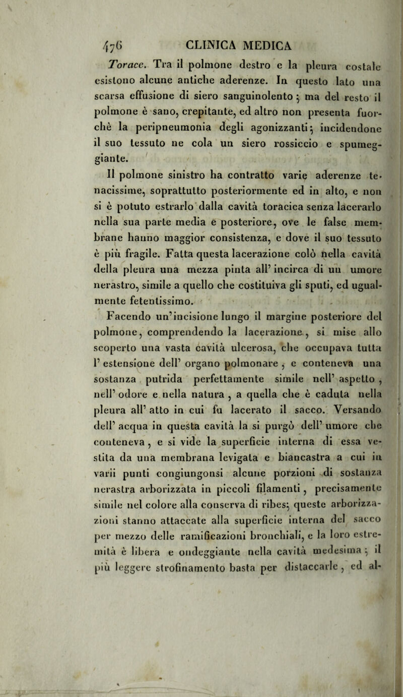 Torace. Tra il polmone destro e la pleura costale esistono alcune antiche aderenze. In questo lato una scarsa effusione di siero sanguinolento \ ma del resto il polmone è'Sano, crepitante, ed altro non presenta fuor- ché la peripneumonia degli agonizzanti^ incidendone il suo tessuto ne cola ’ un siero rossiccio e spumeg- giante. ' Il polmone sinistro ha contratto varie aderenze te* nacissime, soprattutto posteriormente ed in alto, e non si è potuto estrarlo'dalla cavità toracica senza lacerarlo nella sua parte media e posteriore, ove le false mem- brane hanno maggior consistenza, e dovè il suo tessuto è più fragile. Fatta questa lacerazione colò nella cavità della pleura una mezza pinta all’ incirca di un umore nerastro, simile a quello che costituiva gli sputi, ed ugual- mente fetentissimo. ' ’ • - . Facendo un’incisione lungo il margine posteriore del polmone, comprendendo la lacerazione , si mise allo scoperto una vasta cavità ulcerosa, che occupava tutta 1’ estensione dell’ organo polmonare , e conteneva una sostanza putrida ' perfettamente simile nell’ aspetto , nell’odore e.nella natura, a quella che è caduta nella pleura all’ atto in cui fu lacerato il sacco.' Versando dell’acqua in questa cavità la si purgò ' dell’umore che conteneva , e si vide la^superficie interna di essa ve- stita da una membrana levigata e biancastra a cui in varii punti congiungonsi alcune porzioni sdi sostanza nerastra arborizzata in piccoli filamenti, precisamente simile nel colore alla conserva di ribes^ queste arborizza- zioni stanno attaccate alla superficie interna del sacco per mezzo delle ramificazioni bronchiali, e la loro estre- mità è libera e ondeggiante nella cavità medesima ^ il più leggere strofinamento basta per distaccarle , ed al- I