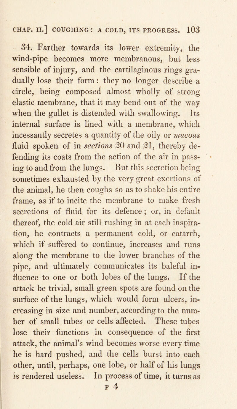 34. Farther towards its lower extremity, the wind-pipe becomes more membranous, but less sensible of injury, and the cartilaginous rings gra¬ dually lose their form: they no longer describe a circle, being composed almost wholly of strong elastic membrane, that it may bend out of the way when the gullet is distended with swallowing. Its internal surface is lined with a membrane, which incessantly secretes a quantity of the oily or mucous fluid spoken of in sections 20 and 21, thereby de¬ fending its coats from the action of the air in pass¬ ing to and from the lungs. But this secretion being sometimes exhausted by the very great exertions of the animal, he then coughs so as to shake his entire frame, as if to incite the membrane to make fresh secretions of fluid for its defence; or, in default thereof, the cold air still rushing in at each inspira¬ tion, he contracts a permanent cold, or catarrh, which if suffered to continue, increases and runs along the membrane to the lower branches of the pipe, and ultimately communicates its baleful in¬ fluence to one or both lobes of the lungs. If the attack be trivial, small green spots are found on the surface of the lungs, which would form ulcers, in¬ creasing in size and number, according to the num¬ ber of small tubes or cells affected. These tubes lose their functions in consequence of the first attack, the animal’s wind becomes worse every time he is hard pushed, and the cells burst into each other, until, perhaps, one lobe, or half of his lungs is rendered useless. In process of time, it turns as