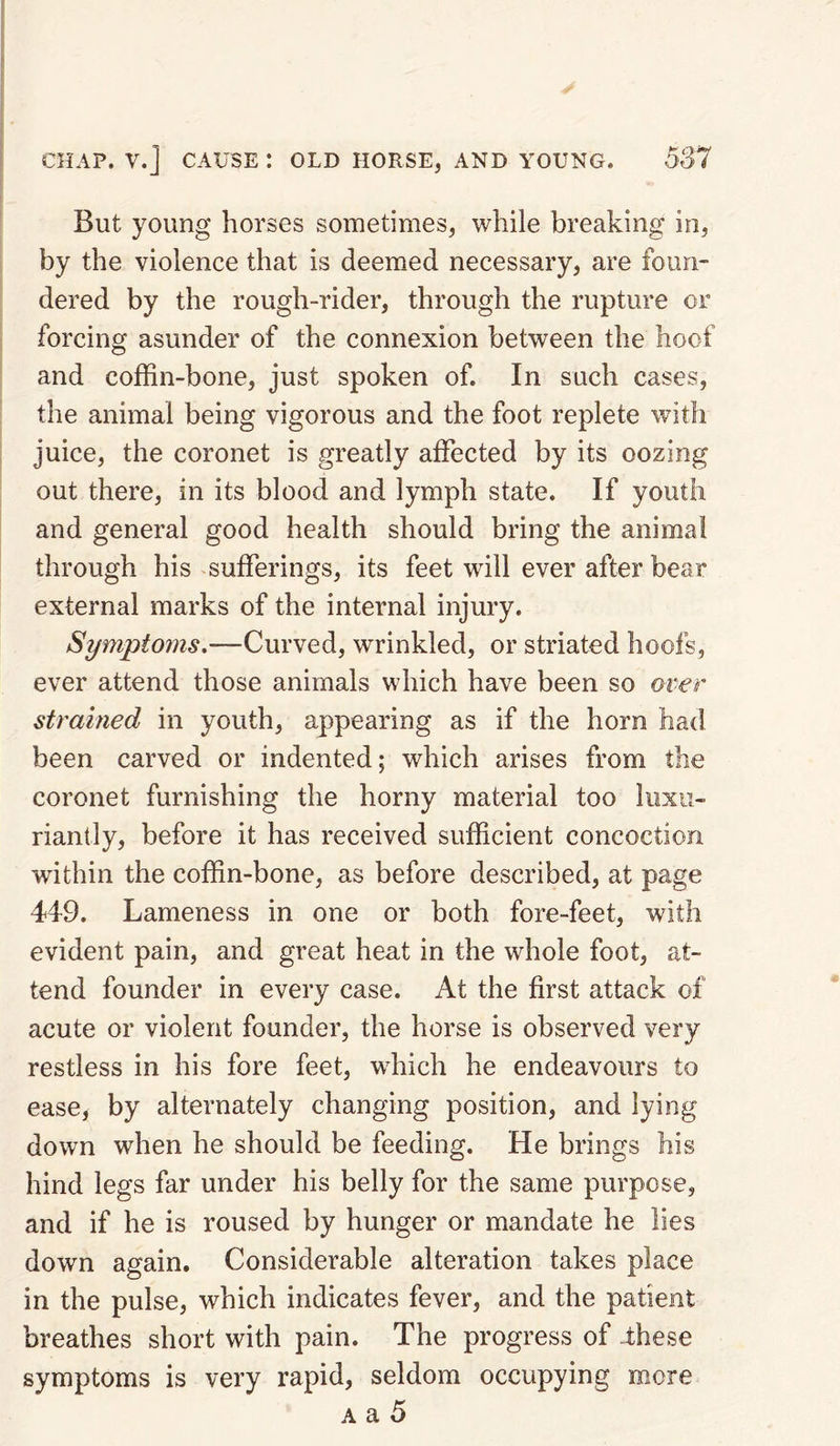 But young horses sometimes, while breaking in, by the violence that is deemed necessary, are foun¬ dered by the rough-rider, through the rupture or forcing asunder of the connexion between the hoof and coffin-bone, just spoken of. In such cases, the animal being vigorous and the foot replete with juice, the coronet is greatly affected by its oozing out there, in its blood and lymph state. If youth and general good health should bring the animal through his sufferings, its feet will ever after bear external marks of the internal injury. Symptoms.—Curved, wrinkled, or striated hoofs, ever attend those animals which have been so over strained in youth, appearing as if the horn had been carved or indented; which arises from the coronet furnishing the horny material too luxu¬ riantly, before it has received sufficient concoction within the coffin-bone, as before described, at page 449. Lameness in one or both fore-feet, with evident pain, and great heat in the whole foot, at¬ tend founder in every case. At the first attack of acute or violent founder, the horse is observed very restless in his fore feet, which he endeavours to ease, by alternately changing position, and lying down when he should be feeding. He brings his hind legs far under his belly for the same purpose, and if he is roused by hunger or mandate he lies down again. Considerable alteration takes place in the pulse, which indicates fever, and the patient breathes short with pain. The progress of -these symptoms is very rapid, seldom occupying more