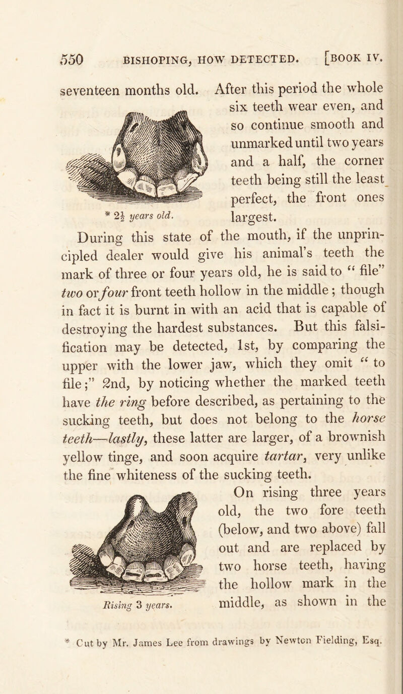 seventeen months old. After this period the whole six teeth wear even, and so continue smooth and unmarked until two years and a half, the corner teeth being still the least perfect, the front ones largest. * 2| years old. During this state of the mouth, if the unprin¬ cipled dealer would give his animal’s teeth the mark of three or four years old, he is said to ‘‘ file two or four front teeth hollow in the middle; though in fact it is burnt in with an acid that is capable of destroying the hardest substances. But this falsi¬ fication may be detected, 1st, by comparing the upper with the lower jaw, which they omit to file2nd, by noticing whether the marked teeth have the ring before described, as pertaining to the sucking teeth, but does not belong to the horse teeth—lastly, these latter are larger, of a brownish yellow tinge, and soon acquire tartar, very unlike the fine whiteness of the sucking teeth. Rising 3 years, On rising three years old, the two fore teeth (below, and two above) fall out and are replaced by two horse teeth, having the hollow mark in the middle, as shown in the ^ Cut by Mr. James Lee from drawings by Newton Fielding, Esq.