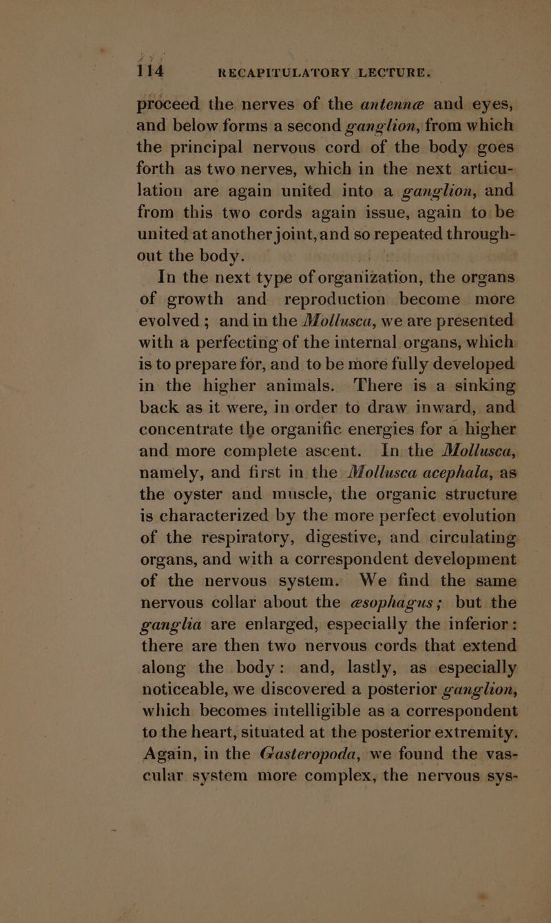 proceed the nerves of the antenne and eyes, and below forms a second ganglion, from which the principal nervous cord of the body goes forth as two nerves, which in the next articu- lation are again united into a ganglion, and from this two cords again issue, again to be united at another joint,and so ‘isan through- out the body. In the next type of ongantiaasion| the organs of growth and reproduction become more evolved ; and in the Mollusca, we are presented with a perfecting of the internal organs, which is to prepare for, and to be more fully developed in the higher animals. There is a sinking back as it were, in order to draw inward, and concentrate the organific energies for a higher and more complete ascent. In the Mollusca, namely, and first in the Mollusca acephala, as the oyster and muscle, the organic structure is characterized by the more perfect evolution of the respiratory, digestive, and circulating organs, and with a correspondent development of the nervous system. We find the same nervous collar about the esophagus; but the ganglha are enlarged, especially the inferior: there are then two nervous cords that extend along the body: and, lastly, as especially noticeable, we discovered a posterior ganglion, which becomes intelligible as a correspondent to the heart, situated at the posterior extremity. Again, in the Gasteropoda, we found the vas- cular system more complex, the nervous sys-