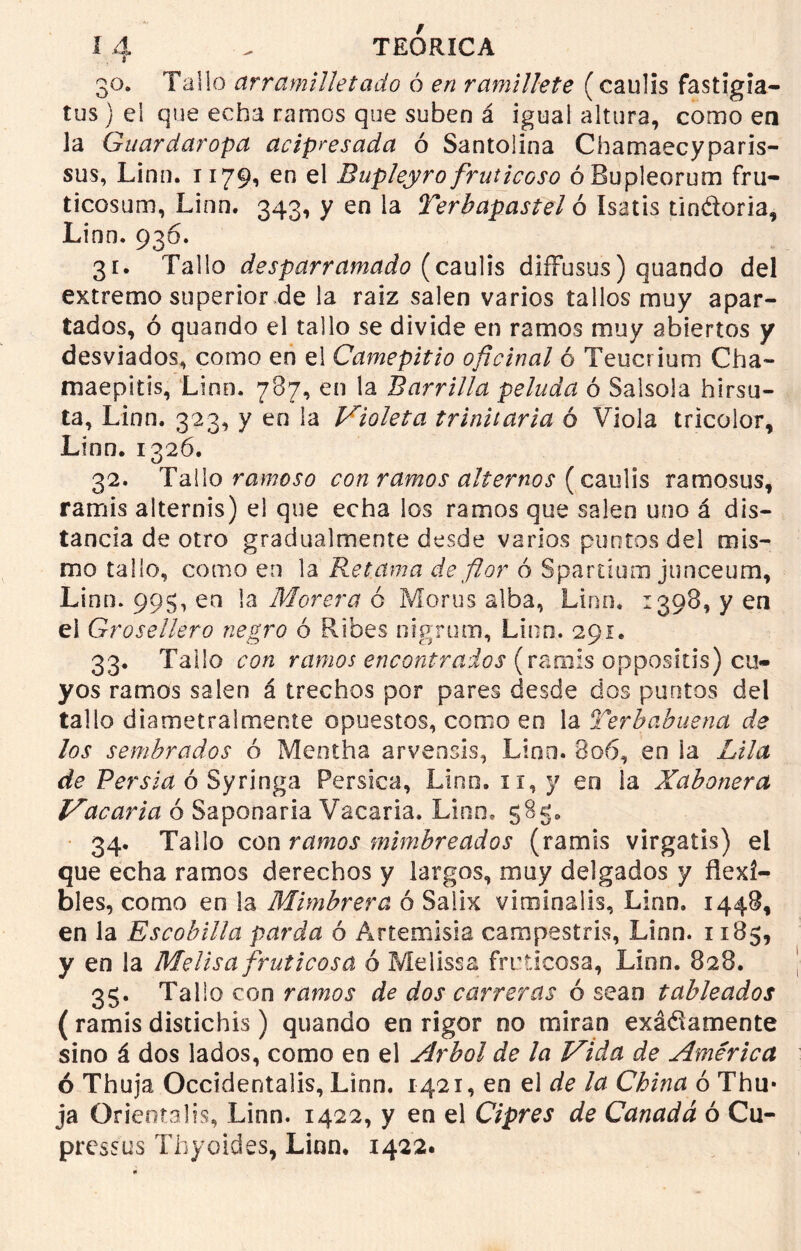 30. Tallo arramilletado ó en ramillete (caulis fastigia- tus) el que echa ramos que suben á igual altura, como en la Guardaropa acipresada ó Santolina Chamaecyparis- sus, Linn. 11791 en el Bupleyro fruiicoso óBupleorum fru- ticosum, Linn. 343, y en la Terbapastel ó Isatis tindoria, Linn. 936. 31. Tallo desparramado (caulis diffusus) quando del extremosuperior .de la raíz salen varios tallos muy apar- tados, ó quando el tallo se divide en ramos muy abiertos y desviados, como en el Camepitio oficinal ó Teucrium Cha- maepitis, Lino. 7B7, en la Barrilla peluda ó Salsola hirsu- ta, Linn. 323, y en la Violeta trinitaria ó Viola tricolor, Linn. 1326. 32. Tallo ramoso con ramos alternos (caulis ramosus, ramis alternis) el que echa los ramos que salen uno á dis- tancia de otro gradualmente desde varios puntos del mis- mo tallo, como en la Retama de flor ó Spartíum junceum, Linn. 995, en la Morera ó Morus alba, Lino. 1398, y en el Grosellero negro ó Ribes nigrum, Linn. 291. 33. Tallo con ramos encontrados (ramis oppositis) cu- yos ramos salen á trechos por pares desde dos puntos del tallo diametral mente opuestos, como en la Terbabuena de los sembrados ó Mentha arvensis, Lino. 806, en la Lila de Persia ó Syringa Pérsica, Linn. 11, y en la Xabonera Vacaría ó Saponaria Vacaría. Linn. 585. 34. Tallo con ramos mimbreados (ramis virgatis) el que echa ramos derechos y largos, muy delgados y flexi- bles, como en la Mimbrera ó Saiix viminalis, Linn. 1448, en la Escobilla parda ó Artemisia campestris, Linn. 1185, y en la Melisa fruticosa ó Melissa fruticosa, Linn. 828. 35. Tallo con ramos de dos carreras ó sean tableados ( ramis distichis) quando en rigor no miran exádamente sino á dos lados, como en el Arbol de la Vida de América ó Thuja Occidentalis, Linn. 1421, en el de la China ó Thu* ja Orienta lis, Linn. 1422, y en el Ciprés de Canadá ó Cu- pressus Thyoides, Linn. 1422.