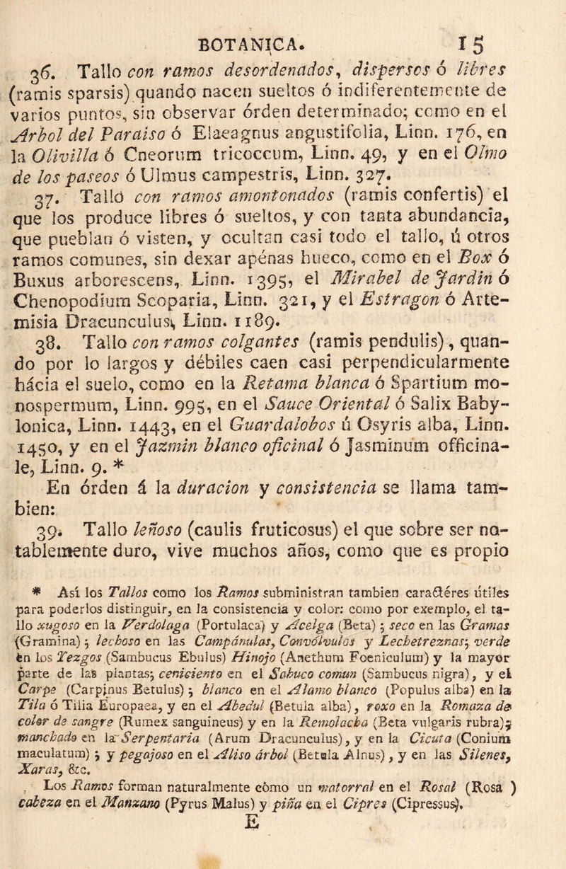 36. Tallo con ramos desordenados, dispersos ó Ubres (ramis sparsis) quando nacen sueltos ó indiferentemente de varios puntos, sin observar orden determinado; como en el Arbol del Paraíso ó Elaeagnus aogustifolia, Lino. 176, en Ja Olivilla ó Cneorum tricoccum, Lino. 49, y en eí Olmo de los paseos ó U'lmus campestris, Linn. 327. 37. Talló con ramos amontonados (ramis confertis) el que los produce libres ó sueltos, y con tanta abundancia, que pueblan ó visteo, y ocultan casi todo el tallo, ú otros ramos comunes, sin dexar apenas hueco, como en el Box ó Buxu's arborescens, Linn. 1395, el Mirabel de Jardín ó Chenopodium Scoparia, Lien. 321, y el Estragón ó Arte- misia Dracunculusi, Linn. 1189. 38. Tallo con ramos colgantes (ramis pendulis), quan- do por lo largos y débiles caen casi perpendicularmente hacia el suelo, como en la Retama blanca ó Spartium mo- nos per nitim, Linn. 995, en el Sauce Oriental ó Salix Babi- lónica, Linn. 1443, en el Guardalobos ú Osyris alba, Linn. 1450, y en el Jazmín blanco oficinal ó Jasminutn officina- le, Lino. 9. * En orden á la duración y consistencia se llama tam- bién: 39. Tallo leñoso (caulis fruticosus) el que sobre ser no- tablemente duro, vive muchos años, como que es propio * Asi los Tallos como los Ramos subministran también cara6téres útiles para poderlos distinguir, en la consistencia y color: corno por exemplo, el ta- llo xugoso en la Verdolaga (Portulaca) y Acelga (Beta) 5 seco en las Gramas (Gramina) 5 lechoso en las Campánulasy Convólvulos y Lechetreznas\ verde én los Tezgos (Sambucus Ebulus) Hinojo (Anethum Foeniculum) y la mayor parte de las plantas^ ceniciento en el Sabuco común (Sambucus nigra), y ei Carpe (Carpjnus Betulus) j blanco en el Alamo blanco (Populus alba) en la Tila ó Tilia Europaea, y en el Abedul (Betuia alba), roxo en la Romaza de color de sangre (Rumex sanguineus) y en la Remolacha (Beta vulgaris rubra)^ Manchad# en Xa:Serpentaria (Arurn Dracunculus), y en la Cicuta (Coniurn maculatura) \ y pegajoso en el Aliso árbol (Betala Jünus), y en las Sllenes, Xarasy 81c, . Los Ramos forman naturalmente cómo un matorral en el Rosal (Rosa ) cabeza en ei Manzano (Pyrus Malus) y pina en el Ciprés (Cipressus), E