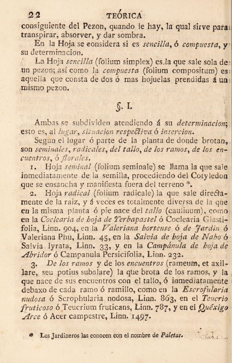 consiguiente del Pezón, quando le hay, la qual sirve paral transpirar, absorver, y dar sombra, Eo la Hoja se considera si es sencilla, ó compuesta, y su determinación. La Hoja sencilla (folium simplex) es Ja que sale sola de un pezón; así como la compuesta (folium compositum) es aquella que consta de dos ó mas hojuelas prendidas á un mismo pezón, §. i. Ambas se subdividen atendiendo á su determinación; esto es, al lugar,, situación respeEliva ó inserción. Según el lugar ó parte de la planta de donde brotan, son seminales, radicales, del tallo, ¿fe /gj* ramos, de los en- cuentros, ó florales, 1. Hoja seminal (folium semioale) se llama la que sale inmediatamente de la semilla, procediendo del Cotyledon que se ensancha y manifiesta fuera del terreno *. 2. Hoja radical (folium radlcale) la que sale dmedia- mente de la raíz, y á veces es totalmente diversa de la que en la misma planta ó pie nace del tallo (cauliuum), como en la Coclearia de hoja de Terbapastel ó Codearía Glasti- folia, Lina, 904, en la Valeriana hortense ó de Jardín ó Valeriana Phu, Lian, 45, en la Salvia de hoja de Nabo ó Salvia lyrata, Lion> 33, y en la Campánula de hoja de Abridor ó Campánula Persicifoüa, Lina. 23a. 3. Be los ramos y de los encuentros (rameum, et axil- ]are, seu potius subalare) la qtie brota de ios ramos, y ia que nace de sus encuentros con el tallo, ó inmediatamente debaxo de cada ramo ó ramillo, como en la Escrofularia nudosa ó Scrophularia nodosa, Lian, 863, en el Tenorio fruticoso ó Teucrium fniticans, Lian, 787, y en el Quexigo Arce ó Acer campestre, Lian. 1497- » # Los Jardineros las conocen con el nombre de Paletas• * v,I; ^