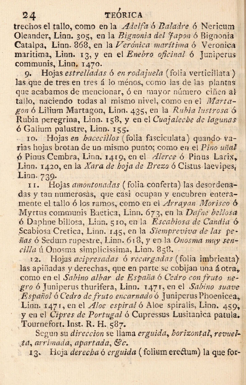 trechos el tallo, como en la Adelfa 6 Baladre 6 Nericutn Oleander, Lino. 305, en la Bignonia del Japón ó Bignonia Catalpa, Linn. 863, en la Verónica marítima ó Verónica marítima, Linn. 13, y en el Enebro oficinal ó Juniperus communis, Linn. 1470. 9. Hojas estrelladas ó en rodajuela (folia vertíci!lata ) las que de tres en tres á lo menos, como las de las plantas que acabamos de mencionar, ó en mayor número ciñen al tallo, naciendo todas al mismo nivel, como en el Marta- gón ó LIlium Martagón, Linn. 435, en la Rubia lustrosa á Rubia peregrina, Lino. 158, y en el Cuajalecbe de lagunas é Gaiium palustre, Linn. 15^* 10. Hojas en hacecillos (folia fascrculata) quando va- rias hojas brotan de un mismo punto; como en el Bino uñal ó Pinos Cembra, Linn. 1419, en el Alerce ó Pinos Larix* Lino. 1420, en la Kara de hoja de Brezo ó Cistus iaevipest Lian. 739. 11. Hojas amontonadas ( folia confería) las desordena- das y tan numerosas, que casi ocupan y encubren entera- mente el tallo ó los ramos, como en el Arrayan Morisco ó Myrtus communis Raetica, .Linn. 673, en la Dafne bellos a ó Daphne biliosa, Linn. 510, en la Escabiosa de Candía 6 Scabiosa Crética, Linn. 145, en la Siempreviva de las pe* ñas ó Sedurn rupestre, Linn. 618, y en la Onosma muy sen- cilla ú Onosma simplicissima, Linn. 858. 12. Hojas acipresadas ó recargadas (folia imhricata) las apiñadas y derechas, que en parte se cobijan una áotray como en el Sabino albar de España ó Cedro con fruto ne- gro ó Juniperus thurifera, Linn. 1471, en el Sabino suave Español 6 Cedro de fruto encarnado 6 Juniperus Phoenicea* Lion. 1471, en el Aloe espiral ó Áloe spiralis, Linn. 459* y en el Ciprés de Portugal ó Cupressus Lusitanica patula* Tournefort. Inst. R. H, 587. Según su dirección se llama erguiday horizontal, revuel- ca, arrimada, apartada, &c. 13* Hoja derecha ó erguida (folium ere¿lum) la que fot-