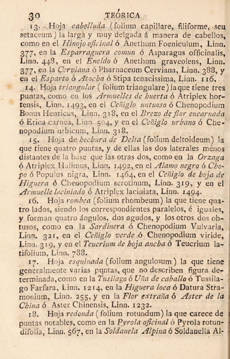 13. ,, Hoja cabelluda (foliara espillare, filiforme, >$eu setaceum) la larga y muy delgada á manera de cabellos, como en el Hinojo oficinal ó Anethum Foeniculum, Lino. 377, eo la Esparraguera común ó Asparagus officinalis, Lino* 448, en el Eneldo ó Anethum graveolens, Lino, 377, en la Cerviana ó Pharnaceum Cerviana, Lino. 388, y eo el Esparto ó Atocha ó Stipa íenaeissima, Lino. 116. 14. Hoja triangular ( folium triangulare) laque tiene tres puntas, como eo los Armuelles de huerta ó A triplex Por- teos ls, Lian* 1493, en el Ceñiglo untuoso ó Chenopodium Bonos Hencicus, Lino» 318, en el Brezo de flor encarnada ó Erica .carnea, Lino. 504, y en el Ceñiglo urbano ó Che- nopodium urhicuna, Lino. 318, 15. Hoja de hechura de Delta (folium deltoideum) la que tiene quatro puntas, y de ellas las dos laterales ménos distantes de la base que las otras dos, como en la Orzaga ó Atriplex Halimus, Lino. 1492, eo el Alamo negro ó Cho- po ó Populas nigra, Lino. 1464, en el Ceñiglo de hoja de Higuera ó Chenopodium serotinum, Lien. 319, y en el Armuelle laciniado ó Atriplex laciniaía, Linn. 1494. 16. Hoja romhea (foliom rhombeum) la que tiene qua- tro lados, siendo los correspondientes paralelos, é iguales, y forman quatro ángulos, dos agudos, y los otros dos ob- tusos, como en la Sardinera ó Chenopodium Vulvaria, Lino. 32 r, en el Ceñiglo verde .6 Chenopodium viride, Lino. 319, y en el Teucrium de hoja ancha ó Teucrium la- • tifoiium, Lino. 788. 17. Hoja esquinada (folium aogulosum) la que tiene generalmente varias puntas, que no describen figura de- terminada, como en la Tusílago ó Uña de caballo 6 Tussila- ¡ go Farfara, Lino. 1214, en la Higuera loca ó Datura Stra- mooium, Linn. 255, y en la Flor extraña ó Aster de la China 6 Aster Chinensis, Lino. 1232. 18. Hoja redonda (folium rotundum) la que carece de í¡ puntas notables, como en la Pyrola oficinal ó Pyrola rotun- ¡ difolia, Linn. 567, en la Soldanela Alpina ó Soldanella Al-