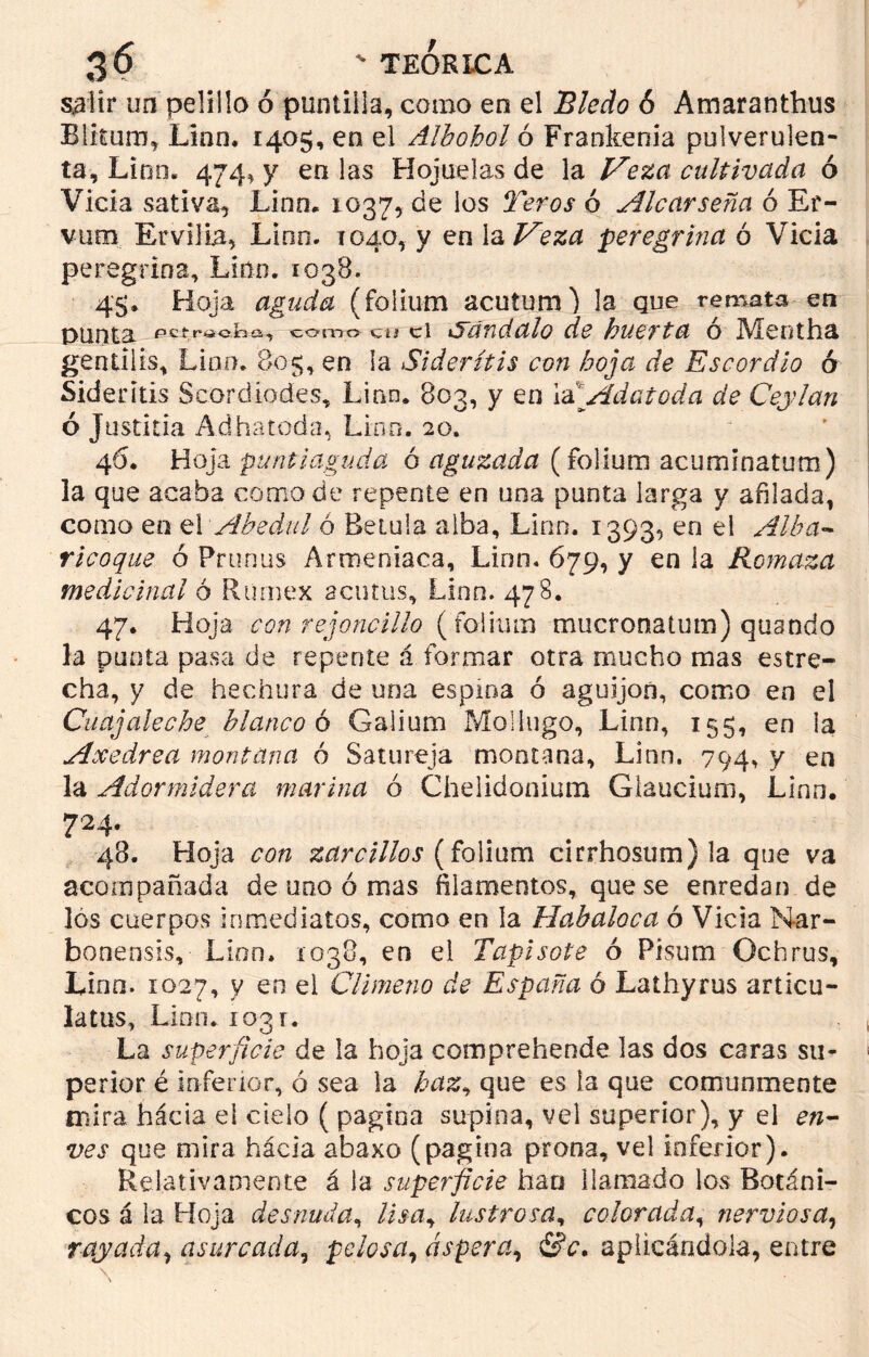 3¿ ' TEORICA salir un pelillo ó puntilla, como en el Bledo ó Amaranthus Blkam, Linn. 1405, en el Albohol ó Frankenia pulverulen- ta, Lino. 474, y en las Hojuelas de la Veza cultivada ó Vicia sativa, Linn, 1037, de los Teros ó Alcarseña ó Er- vum Ervilia, Linn. 1040, y en la Veza peregrina ó Vicia peregrina, Lino. 1038. 45. Hoja aguda (folium acutum) la que remata en punta pctraoba, eorm> cu ci iyándalo de huerta o Alentlia gentil is, Lian. 805, en la Siderítis con hoja de Escordlo 6 Siderítis Scordiodes, Lian. 803, y en \á Adatada de Ceylan ó Justina Adhatoda, Lino. 20. 46. Hoja puntiaguda ó aguzada (folium acuminatum) la que acaba como de repente en una punta larga y afilada, como eo el Abedul ó Bernia alba, Linn. 1393, en el Alba- ricoque ó Prunas Armeniaca, Linn. 679, y en la Romaza medicinal ó Rümex acutus, Linn. 478. 47. Hoja con rejoncillo ( folium mucronatum) quando la punta pasa de repente á formar otra mucho mas estre- cha, y de hechura de una espina ó aguijón, como en el Cuajaleche blanco ó Gaiium Mollugo, Linn, 155, en la Axedrea montana ó Satureja montana, Linn. 794, y en la Adormidera marina ó Chelidonium Giaucium, Lino. 724. 48. Hoja con zarcillos (folium cirrhosum) la que va acompañada de uno ó mas filamentos, que se enredan de lós cuerpos inmediatos, como en la Habaloca ó Vicia Nar- bonensis, Lino. 1038, en el Tapisote ó Pisum Ochrus, Lino. 1027, y en el Climeno de España ó Lathyrus articú- lalas, Lian. logr. La superficie de la hoja comprehende las dos caras su- perior é inferior, ó sea la haz, que es la que comunmente mira hacia el cielo ( pagina supina, vel superior), y el en- ves que mira hácia abaxo (pagina prona, vel inferior). Relativamente á la superficie han llamado los Botáni- cos á la Hoja desnuda, lisa, lustrosa, colorada, nerviosa, rayada, asurcada, pelosa, áspera, &c, aplicándola, entre