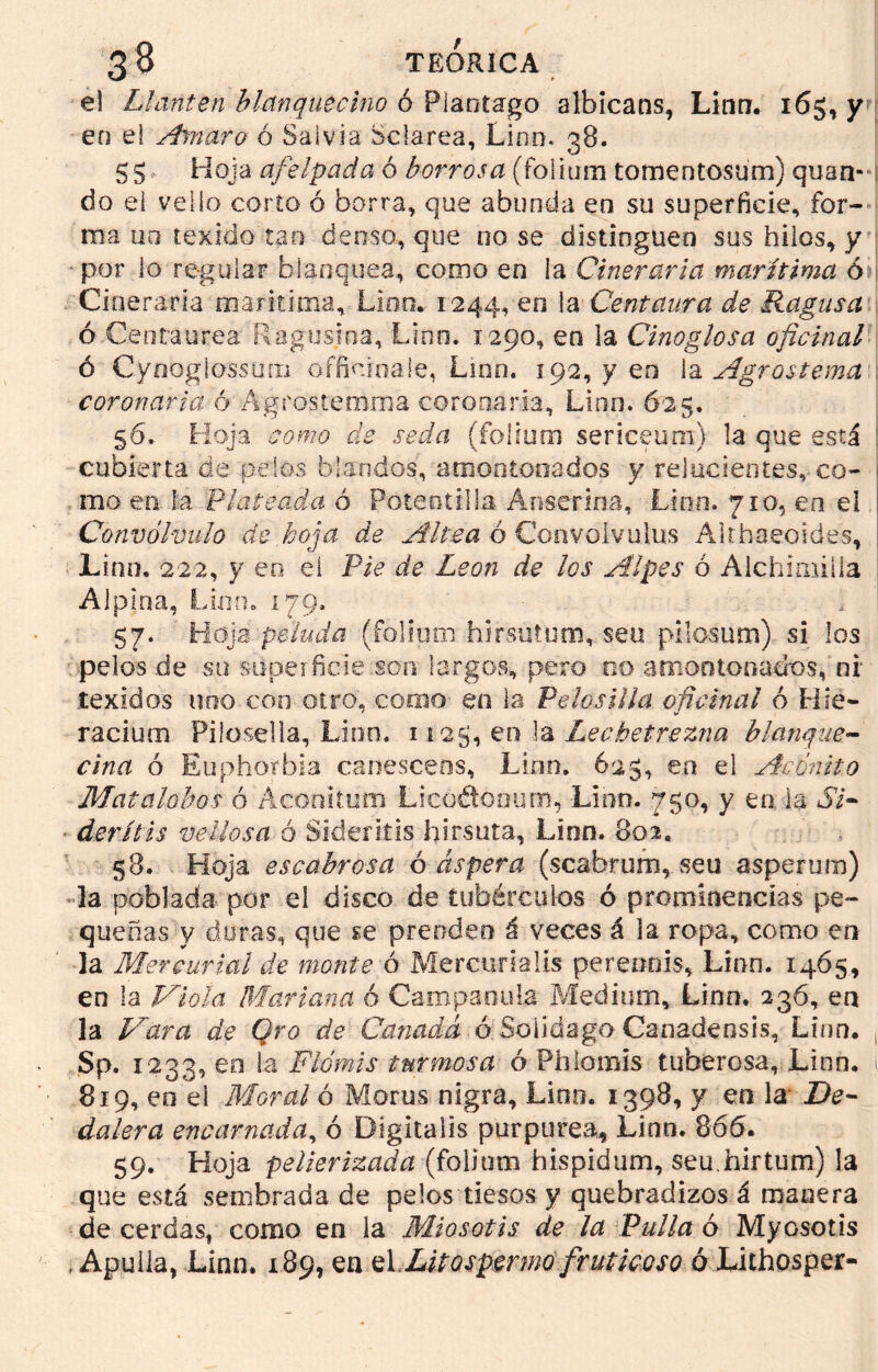 el Llantén blanquecino ó Píantargo albicans, Linn. 165, y en ei Amaro ó Salvia Sclarea, Linn. 38. 5 5 Hoja afelpada ó borrosa (folium tomentosum) quan- do ei vello corto ó borra, que abunda en su superficie, for- ma un texido tan denso, que no se distinguen sus hilos, y ■ por lo regular blanquea, como en la Cineraria marítima 6 Cineraria marítima. Lien. 1:244,-en la Centaura de Ragusa ó Centaurea Ragusina, Lino. 1290, en la Cinoglosa oficinal ó Cynoglossuni oífioioale, Linn. 192, y en la Agrostema coronaria ó Agrostemuia coronaria, Linn. 625. 56. Hoja como de seda (folium sericeum) la que está cubierta de pelos blandos, amontonados y relucientes, co- mo en la Plateada ó Potentilla Á use riña. Lian. 710, en el Convólvulo de hoja de Altea ó Convólvulos Althaeoid.es, Lino. 222, y eo el Pie de León de los Alpes ó Aichimiíia Alpina, Lian. 179. 57. Hoja peluda (folium hirsulum, sea pilosum) si los pelos de su superficie son largos, pero 00 amontonados, ni texidos uno con otro, como en la Pe los illa oficinal ó Hie- racium Filoseda, Linn. 1125, en la Lechetrezna blanque- cina ó Euphorbia canescens, Linn. 625, ea el Acónito Matalobos ó Acooitum Licóétooum, Linn. 750, y en la Si- ■ derítis vellosa ó Sideriíis hirsuta, Linn. 802. §8. Hoja escabrosa ó áspera (scabrum, seu ssperum) la poblada por el disco de tubérculos ó prominencias pe- queñas y doras, que se prenden á veces á la ropa, como en la Mercurial de monte ó Mercurialís pereonis, Linn. 1465, en la Viola Mariana ó Campanilla Médium, Linn. 236, en la Vara de Oro de Canadá óíSoiidago Canadensis, Linn. Sp. 1233, eo ia Flómis tnrmosa ó Phiomis tuberosa, Linn. 819, eo ei Moral ó Moras nigra, Lino. 1398, y en la De- dalera encarnada, ó Digitalis purpurea, Lino. 866. 59. Hoja peiierizada (folium hispidum, seu.birtum) la que está sembrada de pelos tiesos y quebradizos á manera de cerdas, como en la Miosotis de ¿a Pulla ó Myosotis .Apulla, Linn. 189, en eLLitospmnofruticoso ó Lithosper-