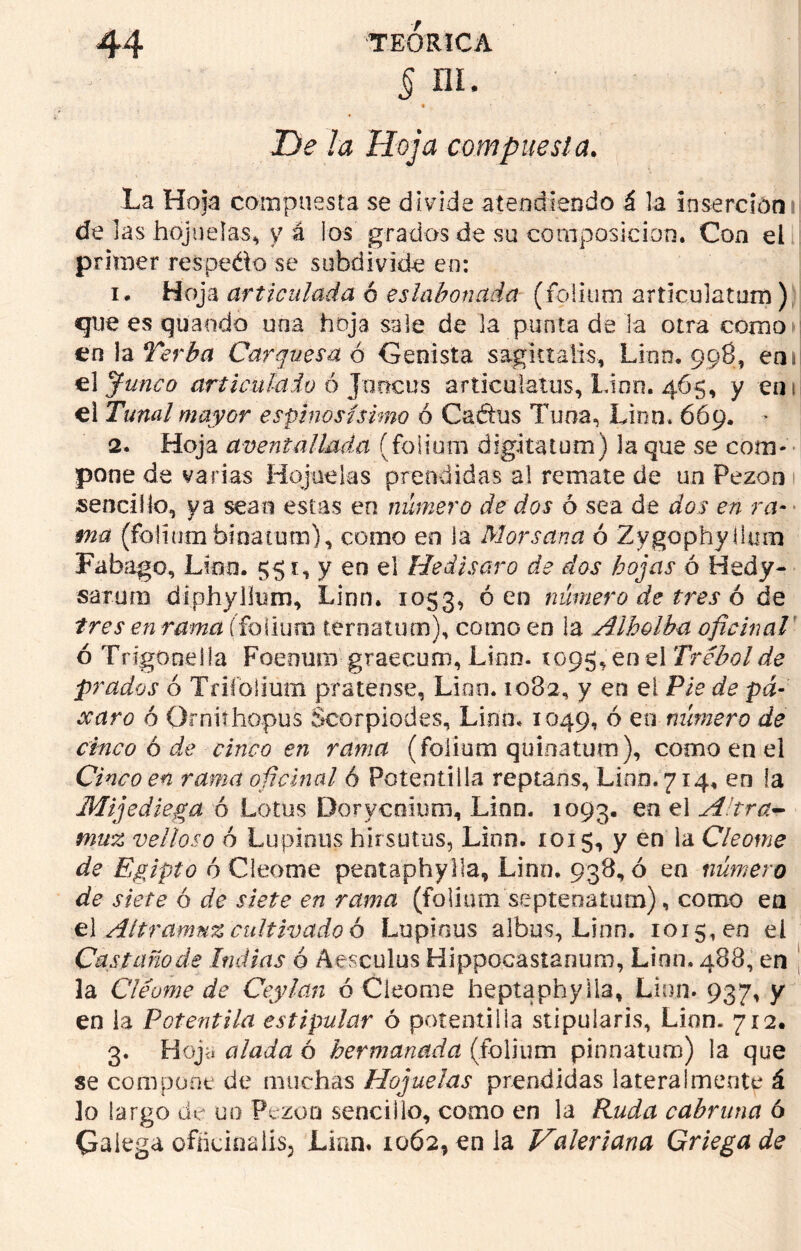 § m. • ' - V* - “ De la Hoja compuesta. La Hoja compuesta se divide atendiendo á la inserción de las hojuelas, y á los grados de su composición. Con el primer res pedio se suhdivide en: i* Hoja articulada ó eslabonada (folium articulatum) que es guando una hoja sale de la punta de la otra como en la Yerba Carquesa 6 Conista sagutalis, Linn. 998, en» el Junco articulado ó Jo ocus articulatus, Linn. 465, y ens el Tunal mayor espinosísimo ó Caétus Tuna, Linn. 669. ■ 2. Hoja aventaliada (folium digitatum) la que se com- pone de varias Hojuelas prendidas al remate de un Pezón sencillo,, ya sean estas en número de dos ó sea de dos en ra- ma (folium bina tu m), como en la Mor sana ó Zygophyílum Fabago, Lino. 551, y en el Hedisaro de dos hojas ó Hedy- sarum diphyiíum, Linn. 1053, ó en número de tres 6 de tres en rama (folium teroatum), como en la Alhelba oficinal ó Trtgonella Foenurn graecum, Linn. 1095, en el Trébol de prados ó Tdíolium pratense, Lino. 1082, y en el Pie de pá- xaro ó Ornií hopas Scorpiodes, Linn. 1049, ó en número de cinco 6 de cinco en rama (folium quioatum), como en el Cinco en rama oficinal ó Potentilla reptans, Lino. 714, en la Mijediega ó Lotus Dorycnium, Linn. 1093. en Altra- muz velloso 6 Lupinos hirsutos, Linn. 1015, y en la Cleome de Egipto 6 Cleome peotaphylla, Linn. 938, ó en número de siete ó de siete en rama (folium septenatum), como en el Altramuz cultivado ó Lupious albos, Linn. 1015,00 el Castaño de Indias ó A esculos Hippocastanum, Linn. 488, en la Cléume de Ceylan ó Cleome heptaphylla, Linn. 937, y en la Potentila estipular ó potentilla stipularis, Linn. 712. 3. Hoja alada ó hermanada (folium pinnatum) la que se compone de muchas Hojuelas prendidas lateralmente á 3o largo tic un Pezón sencillo, como en la Ruda cabruna ó Galega ofñcinaliSj Lian. 1062, en la Valeriana Griega de