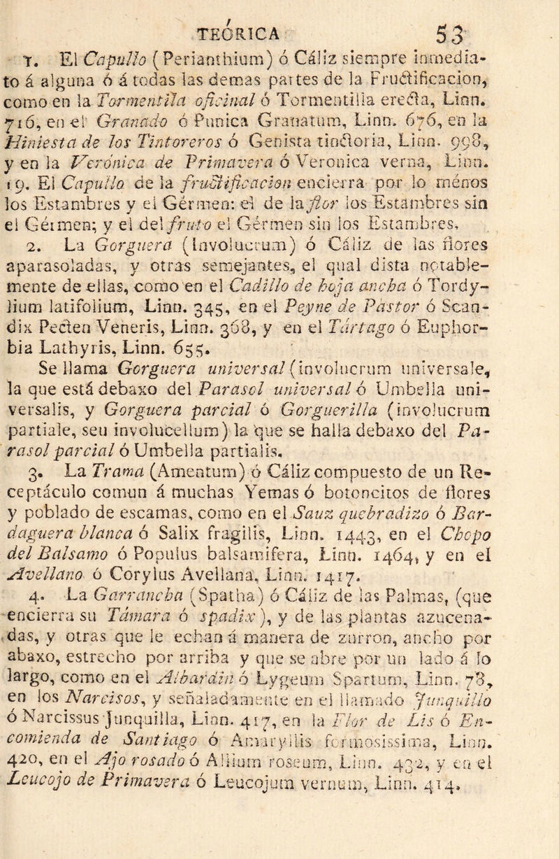 T. El Capullo (Perianthium) ó Cáliz siempre inmedia- to á alguna ó á todas las demas partes de la F ru ¿ti fie a don, como en la- Tormentóla oficinal ó Tormén ti lia ere fia, Lian. 716, en el Granado ó Púnica Granal 11 m, Lino. 676, en la Hiniesta de los Tintoreros ó Conista tinfloria, Lino. 998-, y en la Verónica de Primavera ó Verónica verná, Lmn. t 9, El Capullo de la fruSUfic'acíon encierra por lo rnénos ios Estambres y el Gérmeo: d de la flor los Estambres sin el Géimen; y el del fruto el Gérnien sin los Estambres, 2. La Gorgnera (Involucrum) ó Cáliz de las flores aparasoladas, y otras semejantes^ el qual dista notable- mente de ellas, como en el Cadillo de hoja ancha ó Tordy- ]iutxi latifoiiucn, Lino. 345, en el Peyne de Pastor ó Sean- dix Peden Venerls, Lino» 368, y en el Tártago ó Euphor- bia Lathyris, Linn. 65$. Se llama Gorguera universal {involucrum universales la que está debaxo del Parasol universal ó Umbella uni- versalis, y Gorguera parcial ó Gorguerilla (involucrum partíale, sen involucdlum) la que se halla debaxo del Pa- rasol parcial ó Umbella partialis. 3. La Trama (Amentum) ó Cáliz compuesto de un Re» ceptáculo común á muchas Yemas ó botoncitos de flores y poblado de escamas, como en el Sauz quebradizo ó Bar- daguera blanca ó Saiix fragilis, Lino, 1443, en el Chopo del Balsamo ó Populus balsamifera, Lint). 1464* y en el Avellano ó Coryius Avellana, Lian» 1417» 4» La Garrancha (Spatha) ó Cáliz de las Palmas, (que encierra su Támara 6 spadix), y de las plantas azucena- das, y otras que le echan á manera de zurrón, ancho por abaxo, estrecho por arriba y que se abre por un lado á fo largo, como en el Al bar din ó Lygeum Spartum, Linn. 78* en Jos Narcisos, y señaladamente en el llamado junquillo ó Narcissus Junquilla, Lian. 417, en la Flor de Lis o En- comienda de Santiago ó Amaryllis formósissima, Li-nn. 420, en el Ajo rosado 6 Aülum roseum, Linn. 432, y eo el Lenco jo de Primavera ó Leucojum vernum, Linn'. 414,