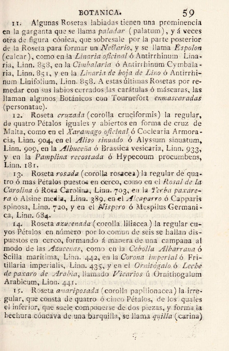 11. Algunas Rosetas labiadas tienen una prominencia en la garganta que se llama paladar ( paíatum), y á veces otra de figura cónica, que sobresale por la parte posterior de la Roseta para formar un Neffarió, y se llama Éspolon (calcar), como en la Linaria oficinal ó Ántir.rhlnum Lina- ria, Lian. 858, en la Cimbalaria ó Antirrhinum Cyinhala- ría, Lino. 831, y en la .Linaria de hoja de Lino ó Anürrhi- num Linifolium, Lien. 858- A estas ultimas Rosetas por re- medar con sus labios cerrados Jas carátulas ó máscaras, las llaman algunos, Botánicos con Tourueíort enmascaradas (personatae). v * 12. Roseta cruzada (coroíla cruciformis) la regular, de cuatro Pétalos iguales y abiertos en forma de cruz de Malta, como en el Xar ámago oficinal ó Codearla Armora- cía, Lino. 904, en el Aliso sumado 6 Alyssum sfouatum, Linn. 909, en la Alhucema ó Brassica vesicaria, Lino. 933, y en la Pamplina recostada o Hypecoum procutnbens, Linn, 181. 13. Roseta rosada (coroUa rosacea) la regular dé qua- tro ó mas Pétalas puestos en cerco, corno en el Rosal de la Carolina ó Roca Carolina, Lina. 703, en la Yerba paxare~ ra ó Aisine meiia, Linn. 389, en el Alcaparro ó Capparis spinosa, Lino, 720, y en el Níspero ó Mespilus Germáni- ca, Linn. 684. 14. Roseta azucenada (corolla liliácea) la regular cu- yos Pétalos en número por io común de seis se hallan dis- pu estos en cerco, formando á manera de una campana al .modo de las Azucenas, como en la Cebolla Albarrana ó Scilla marítima, Linn, 442, en la Corona imperial ó Fri- tillaria im perla lis, Linn. 43 5, y en el Ornitógalo ó Leche de paxaro de Arabia, llamado Vicarios u Ornithogalum Arablcum, Lino. 441. Ty. Roseta amar iposad a (corolla papilionacea) la. irre- gular, que consta de quatro ó cinco Pétalos, de los q pajes el inferior, que suele compoeerse de dos piezas, y forma ja hechura cóncava de.una barquilla, se llama quilla (carina)