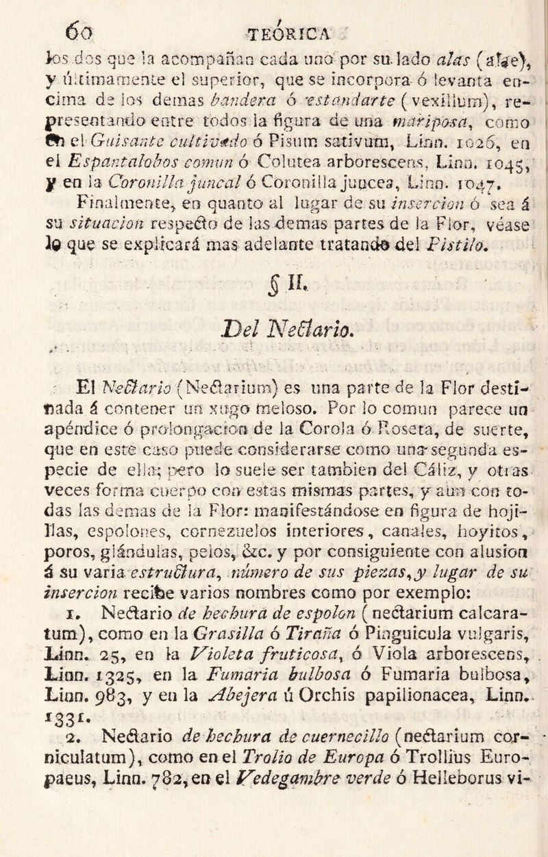 u TEORICA :• ios.dos que la acompañan cada una1 por su.lado alas ( y íiicimarnenie el superior, que se incorpora ó levanta en- cima délas demás batidera ó ‘estandarte (vexílíum), re- presentando entre todos ia figura de una mariposa, como &} elGuisante cultivado ó Pisum sativuin, .Lian. 1026, en ei Espantalobos coman ó Colutea arborescerts, Lino. 1045, y en ia Coronilla juncal ó Coronilla júncea, Lino. 1047. Finalmente* en quaoto ai lugar de su Inserción ó sea á su situación respecto de las demás partes de la Flor, véase lo que se explicará mas adelante tratando del Pistilo. SIL Del Ne6lario. El Nectario (Ne&anum) es una parte de la Flor desti- nada á contener un xugo meloso* Por lo común parece un apéndice ó-proiongacton de la Corola ó Roseta, de suerte, que en este caso puede considerarse corno una-segunda es- pecie de ella; pero lo suele ser también del Cáliz, y otras veces forma cuerpo con- estas mismas partes, y a mi con to- das las demas de la Flor: manifestándose en figura de hoji- lías, espolones, cornezuelos interiores, canales, hoyitos, poros, glándulas, pelos, &c. y por consiguiente con alusión á su varia, estructura, número de sus piezas,y lugar de su inserción recifce varios nombres como por exemplo: 1. Neétarlo de hechura de espolón (ne&arium calcara- tum), como en la Grasilla ó Tirana ó Plaguicida vulgaris, lánn. 25, en la Violeta fruticosa, ó Viola aibor esceos, Lian. 1325, en la Fumaria bulbosa ó Fumaria bulbosa, Lino. 983, y en la Abejera h Orchis papilionacea, Lino. *33*- 2. Nedario de hechura de cuernecilh (neétarium cor- niculatum), como en el Trolio de Europa ó Trollius Euro- paeus, Lian. 782,0» el Vedegambre verde ó Helleborus vi-