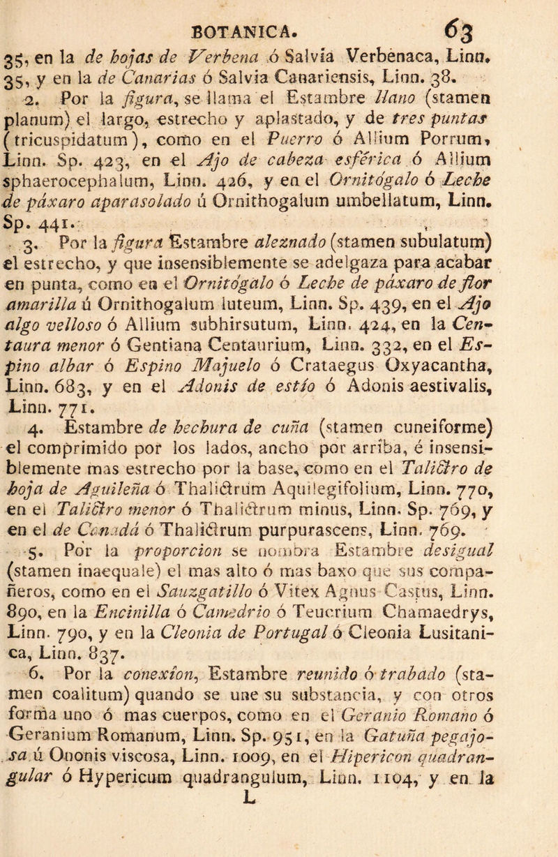 35, en la de hojas de Verbena ó Salvia Verbénaca, Linn* 35, y en la de Canarias ó Salvia Canariensis, Lino. 38. 2* Por la figura, sellama el Estambre llano (stameti planum) el largo, estrecho y aplastado, y de tres puntas (tricuspidatum), como en el Puerro o Alíium Porrum* Lino. Sp. 423, en el Ajo de cabeza esférica ó Allium sphaerocephalum, Lino, 426, y en el Omito galo ó Leche de páxaro aparasolado á Ornithogalum umbellatum, Lino. Sp. 441. 3. Por la figura Estambre aleznado (stamen subulatum) el estrecho, y que insensiblemente se adelgaza para acabar en punta, como en el Omito galo ó Leche de páxaro de flor amarilla ú Ornithogalum luteum, Lino. Sp. 439, en el Ajo algo velloso ó Allium subhirsutum, Linn. 424, en la Cerc- taura menor ó Gentiana Centaurium, Lino. 332, en el Es- pino albar ó Espino Majuelo ó Crataegus üxyacantha, Lina. 683, y en el Adonis de estío ó Adonis aestivalis. Lian. 771. 4. Estambre de hechura de cuña (stamen cuneiforme) el comprimido por los lados, ancho por arriba, é insensi- blemente mas estrecho por la base, como en el Taliciro de hoja de Aguileña ó Thah&rum Aquilegifolium, Lino. 770, en eí TaUSlro menor ó Thali&rum minus, Linn. Sp. 769, y en el de Canadá ó Thali&rum purpurascens, Lino. 769. 5. Por ia proporción se nombra Estambre desigual (stamen inaequale) el mas alto ó mas baxo que sus compa- ñeros, como en el Sauzgatillo ó Vitex Agnus Castos, Lina. 890, en la Encinilla ó Camedrio ó Teuerium Chamaedrys, Linn. 790, y en la Cleonia de Portugal 6 Geoda Lusitani- ca, Linn. 837. 6. Por ia conexión, Estambre reunido o trabado (sta- men coalitum) quando se une su substancia, y con otros forma uno ó mas cuerpos, como en el Geranio Romano ó Geranium Romanum, Linn. Sp. 951, en la Gatuña pegajo- sa u Ooonis viscosa, Linn. 1009, en el Hipericon quadran- gular ó Hypericum quadranguium, Liún, 1104, y en. ia L