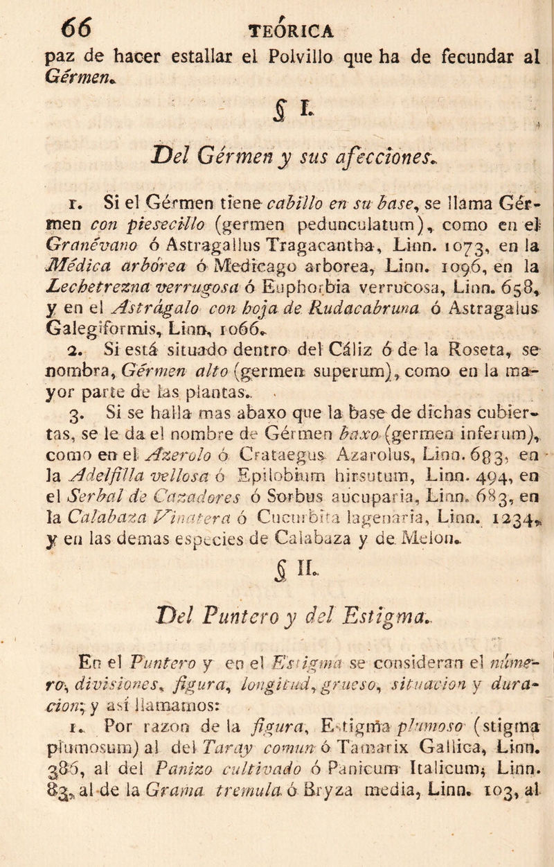 paz de hacer estallar ei Polvillo que ha de fecundar al Germen- Del Gérmen y sus afecciones- r. Si el Germen tiene cabillo en su base, se llama Ger- men con piesecillo (germen pedunculatum),, como en ej Granévano ó Astragaiius Tragacantha , Linn. 1073, en la Médica arbórea ó Medreago arbórea, Linn. 1096, en la Lechetrezna verrugosa 6 Eüphorbia verrugosa, Lian. 658, y en el Astrágalo con hoja de Rudacabruna ó Astragaíus Galeglíonnis, Lino, 1066*, 2. Si está situado dentro del Cáliz ó de la Roseta, se nombra, Gérmen alto (germea superum), como en la ma- yor parte de las plantas., . 3. Si se halla mas abaxo que la base de dichas cubier- tas, se le da el nombre de Gérmen baxo (germen inferum), como en et Azerolo ó Crataegus Azarolus, Lino. óg3, en - la Adelfilla vellosa ó Epilobksm hirsutum, Linn. 494, en el Serbal de Cazadores ó Sorbos a u cu paria, Linn. 683, en la Calabaza Vinatera ó Cucúrbita lagenaria, Linn. 1234* y en las demas especies de Calabaza y de. Melón- Del Puntero y del Estigma.. . -r ' «i V En el Puntero y en el Estigma se consideran el mime- rv, divisiones* figura, longitud y grueso, situación y dura- y así llamamos: t. Por razón déla figura, Enigma plumoso(stigma plumosum) al del Taray común o Tamarix Gallica, Linn. 386, al del Panizo cultivado ó Panicum Italicum* Linn. 83,, ai de la Grama trémula, ó Bryza media, Linn. 103, al