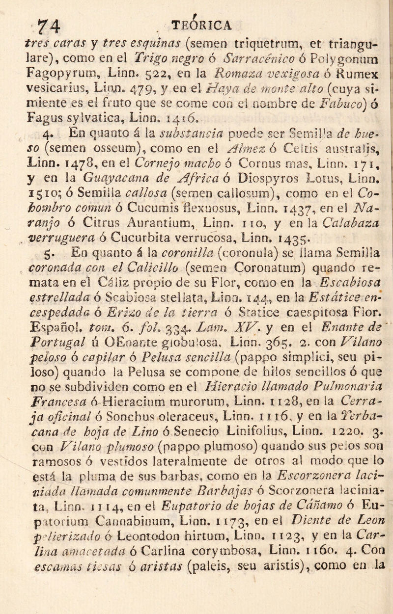 tres caras y tres esquinas (semen triquetrum, et triangu- lare), como en el Trigo negro ó Sarracénico ó Poiygonum Fagopyrum, Lino. 522, eo la Romaza vexigosa ó Rumex vesicarius, Lían» 479, y eo el Haya de monte alto (cuya si- miente es el fruto que se come con d nombre de Fabuco) ó Fagos sylvatica, Lino» 1446. 4. En quaoto á la substancia puede ser Semilla de hue- so (semen osseum), como eo el Almezo Ceitis austraiis, , Lino. T478, en el Cornejo macho ó Coreos reas, Lino. 171, y eo la Guayacana de Africa ó Diospyros Lotus, Lien, igio; ó Semilla callosa (semen callosum), como en el Co- hombro común ó Cucumis fíexuosus, Lien» 1437, en el Na- ranjo ó Citrus Aurantíum, Lien, no, y en la Calabaza verruguera ó Cucúrbita verrucosa, Lino. 143$. 5. Eo quanto á la coronilla (corooula) se ilama Semilla coronada con el Calicillo (semen Coronatum) quando re- mata eo el Cáliz propio de su Flor, como en la Escabiosa estrellada ó Scabiosa steliata, Lino. 144, en !a Estatice en- cespedada ó Erizo de la tierra ó Statice caespitosa Flor. Español, tora 6. foL 334. Lana XV'. y eo el Enante de Portugal ú O Enante globulosa* Linn, 365. 2. con Vilano peloso ó capilar 6 Pelusa sencilla (pappo simplici, seu pi- loso) quando la Pelusa se compone de hilos sencillos ó qua no se subdividen como en el Hieracio llamado Pulmonaria Francesa ó Hieracuim murorum, Linn. 1128, en la Cerra- ja oficinal ó Sonchus oleraeeus, Linn. 11 í6, y en la Terba- cana de hoja de Lino ó Senecio Linifolius, Linn. 1220. 3. con Vilano plumoso (pappo plumoso) quando sus pelos son ramosos ó vestidos lateralmente de otros al modo que lo está la pluma de sus barbas, corno eo ja Escorzonera laci- niada llamada comunmente Barbajas ó Scorzonera iacinia- ta Lino* 1114, en el Eupatorio de hojas de Cáñamo ó Eu- patorium Caunabinum, Linn. 1173, en el Viente de León p dierizado ó Leontodón hirtum, Linn. 1123, y en la Car- lina amacerada ó Carlina corymbosa, Linn. 1160. 4. Con escamas tiesas ó aristas (paleis, seu aristis), como en la