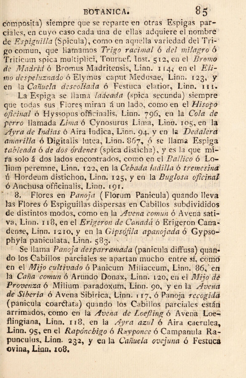 cmnposita) siempre que se reparte en otras Espigas par- ciales, en cuyo caso cada una de ellas adquiere el nombre de Espiguilla (Spicola), corno en aquella variedad del Tri- go común, que Hatearnos Trigo racimal ó del milagro 6 Tñticum spica multipUci, Tournef, Inst. 512, en el Bremo de MadrM ó Bromas Madriteosls, Linn. 114,’ en el Eli- mo despeluznado 6 El ymus caput Medosae, Lino. 123, y en la Cañuela descollada ó Festuca dador, Lino. ni. La Espiga se ilama ladeada (spica secunda) siempre que todas sus Flores miran á un lado, como en el Hisopo oficinal ó Hyssopos officinalis, Lino. 796, en la Cola de perro llamada Lima d Cynosurus Lima, Lino. 105, en la Ayra de Indias ó Aira índica, Linn. 94, y en la Dedalera amarilla ó Digitalis lútea, Lino. 867, ó se llama Espiga tableada ó de dos órdenes (spica disticha), y es la que mi- ra solo á dos lados encontrados, como en el Ballico ó Lo- lium peremne, Lino. 122, en la Cebada ladilla ó treme úna ó Hordeutn distichon, Lino. 125, y en la Buglosa oficinal ó Anchusa officinalis, Lino. 191. 8. Flores en Panoja (Florum Panícula) quando lleva las Flores ó Espiguillas dispersas en Cabillos subdivididos de distintos modos, como en la Avena cornun ó Avena sati- va, Linn. 118, en el Erigeron de Canadá ó Erigeron Cana- dense, Linn. 12 ío, y en la Gipsófila apanojada ó Gypso- phyla panicuiata, Linn. 583. y Se ¡lama Panoja desparramada (panícula diffusa) quan- do los Cabillos parciales se apartan mucho entre sí, como en el Mijo cultivado ó Panicum Miiiaceum, Linn. 8ó,en la Caña común ó Arundo Donax, Linn. 120, en el Mijo de Provenza ó Milium paradoxum, Linn. 90, y en la Avena de Siberia ó Avena Sibirica, Linn, 117, ó Panoja recogida (panícula coaréiata) quando los Cabillos parciales están arrimados, como en la Avena de Loefiing ó Avena Loe- flingiana, Linn. n8, en la Afra azul ó Aira caerulea, Linn. 95, en el Rapónchigo ó Rmrponce ó Campanilla Ra- punculus, Linn. 232, y en la Cañuela ovejuna ó Festuca ovina* Lian. 208.