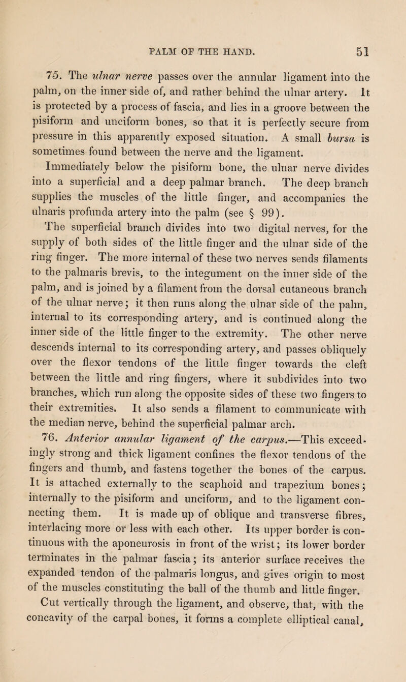 75. The ulnar nerve passes over the annular ligament into the palm, on the inner side of, and rather behind the ulnar artery. It is protected by a process of fascia, and lies in a groove between the pisiform and unciform bones, so that it is perfectly secure from pressure in this apparently exposed situation. A small hursa is sometimes found between the nerve and the ligament. Immediately below the pisiform bone, the ulnar nerve divides into a superficial and a deep palmar branch. The deep branch supplies the muscles of the little finger, and accompanies the ulnaris profunda artery into the palm (see § 99). The superficial branch divides into two digital nerves, for the supply of both sides of the little finger and the ulnar side of the ring finger. The more internal of these two nerves sends filaments to the palmaris brevis, to the integument on the inner side of the palm, and is joined by a filament from the dorsal cutaneous branch of the ulnar nerve; it then runs along the ulnar side of the palm, internal to its corresponding artery, and is continued along the inner side of the little finger to the extremity. The other nerve descends internal to its corresponding artery, and passes obliquely over the flexor tendons of the little finger towards the cleft between the little and ring fingers, where it subdivides into two branches, which run along the opposite sides of these two fingers to their extremities* It also sends a filament to communicate with the median nerve, behind the superficial palmar arch. 76. Anterior annular ligament of the carpus.—This exceed- ingly strong and thick ligament confines the flexor tendons of the fingers and thumb, and fastens together the bones of the carpus. It is attached externally to the scaphoid and trapezium bones j internally to the pisiform and unciform, and to the ligament con¬ necting them. It is made up of oblique and transverse fibres, interlacing more or less with each other. Its upper border is con¬ tinuous with the aponeurosis in front of the wrist; its lower border terminates in the palmar fascia; its anterior surface receives the expanded tendon of the palmaris longus, and gives origin to most of the muscles constituting the ball of the thumb and little finger. Cut vertically through the ligament, and observe, that, with the concavity of the carpal bones, it forms a complete elliptical canal.