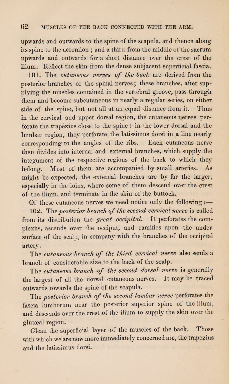 upwards and outwards to the spine of the scapula, and thence along its spine to the acromion ; and a third from the middle of the sacrum upwards and outwards for a short distance over the crest of the ilium. Reflect the skin from the dense subjacent superficial fascia. 101. The cutaneous nerves of the back are derived from the posterior branches of the spinal nerves; these branches, after sup¬ plying the muscles contained in the vertebral groove, pass through them and become subcutaneous in nearly a regular series, on either side of the spine, but not all at an equal distance from it. Thus in the cervical and upper dorsal region, the cutaneous nerves per¬ forate the trapezius close to the spine : in the lower dorsal and the lumbar region, they perforate the latissimus dorsi in a line nearly corresponding to the angles of the ribs. Each cutaneous nerve then divides into internal and external branches, which sujDply the integument of the respective regions of the back to which they belong. Most of them are accompanied by small arteries. As might be expected, the external branches are by far the larger, especially in the loins, where some of them descend over the crest of the ilium, and terminate in the skin of the buttock. Of these cutaneous nerves we need notice only the following:— 102. The posterior branch of the second cervical nerve is called from its distribution the great occipital. It perforates the com- plexiis, ascends over the occiput, and ramifies upon the under surface of the scalp, in company with the branches of the occipital artery. The cutaneous branch of the third cervical nerve also sends a branch of considerable size to the back of the scalp. The cutaneous branch of the second dorsal nerve is generally the largest of all the dorsal cutaneous nerves. It may be traced outwards towards the spine of the scapula. The posterior branch of the second lumbar nerve perforates the fascia lumborum near the posterior superior spine of the ilium, and descends over the crest of the ilium to supply the skin over the glutseal region. Clean the superficial layer of the muscles of the back. Those with which we are now more immediately concerned are, the trapezius and the latissimus dorsi.