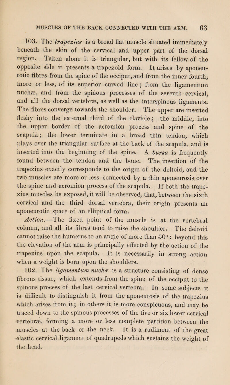 103. The trapezius is a broad flat muscle situated immediately beneath the skin of the cervical and upper part of the dorsal region. Taken alone it is triangular, but with its fellow of the opposite side it presents a trapezoid form. It arises by aponeu¬ rotic fibres from the spine of the occiput, and from the inner fourth, more or less, of its superior curved line ; from the ligamentum nuchee, and from the spinous processes of the seventh cervical, and all the dorsal vertebrae, as well as the interspinous ligaments. The fibres converge towards the shoulder. The upper are inserted fleshy into the external third of the clavicle; the middle, into the upper border of the acromion process and sjnne of the scapula; the lower terminate in a broad thin tendon, which plays over the triangular surface at the back of the scapula, and is inserted into the beginning of the spine. A hursa is frequently found between the tendon and the bone. The insertion of the trapezius exactly corresponds to the origin of the deltoid, and the two muscles are more or less connected by a thin aponeurosis over the spine and acromion process of the scapula. If both the trape¬ zius muscles be exposed, it will be observed, that, between the sixth cervical and the third dorsal vertebra, their origin presents an aponeurotic space of an elliptical fonn. Action.—The fixed point of the muscle is at the vertebral column, and all its fibres tend to raise the shoulder. The deltoid cannot raise the humerus to an angle of more than 50° : beyond this the elevation of the arm is principally effected by the action of the trapezius upon the scapula. It is necessarily in strong action when a weight is born upon the shoulders, 102. The ligamentum nuchce is a structure consisting of dense fibrous tissue, which extends from the spine of the occiput to the spinous process of the last ceiwical vertebra. In some subjects it is difficult to distinguish it from the aponeurosis of the trapezius which arises from it; in others it is more conspicuous, and may be traced down to the spinous processes of the five or six lower cervical vertebrae, forming a more or less complete partition between the muscles at the back of the neck. It is a rudiment of the great clastic cervical ligament of quadrupeds which sustains the weight of the head.