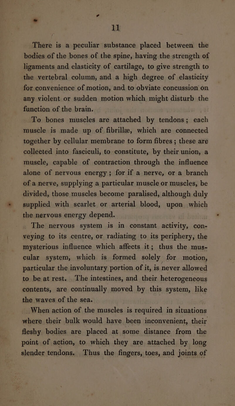 There is a peculiar substance placed between the bodies of the bones of the spine, having the strength of ligaments and elasticity of cartilage, to give strength to the vertebral column, and a high degree of elasticity for convenience of motion, and to obviate concussion on any violent or sudden motion which might disturb the function of the brain. To bones muscles are attached by tendons; each muscle is made up of fibrillae, which are connected together by cellular membrane to form fibres ; these are collected into fasciculi, to constitute, by their union, a muscle, capable of contraction through the influence alone of nervous energy; for if a nerve, or a branch of a nerve, supplying a particular muscle or muscles, be divided, those muscles become paralised, although duly supplied with scarlet or arterial blood, upon which the nervous energy depend. The nervous system is in constant activity, con- veying to its centre, or radiating to its periphery, the mysterious influence which affects it; thus the mus- cular system, which is formed solely for motion, particular the involuntary portion of it, is never allowed to be at rest. The intestines, and their heterogeneous contents, are continually moved by this system, like the waves of the sea. | When action of the muscles is required in situations where their bulk would have been inconvenient, their fleshy bodies are placed at some distance from the point of action, to which they are attached by long slender tendons. Thus the fingers, toes, and joints of