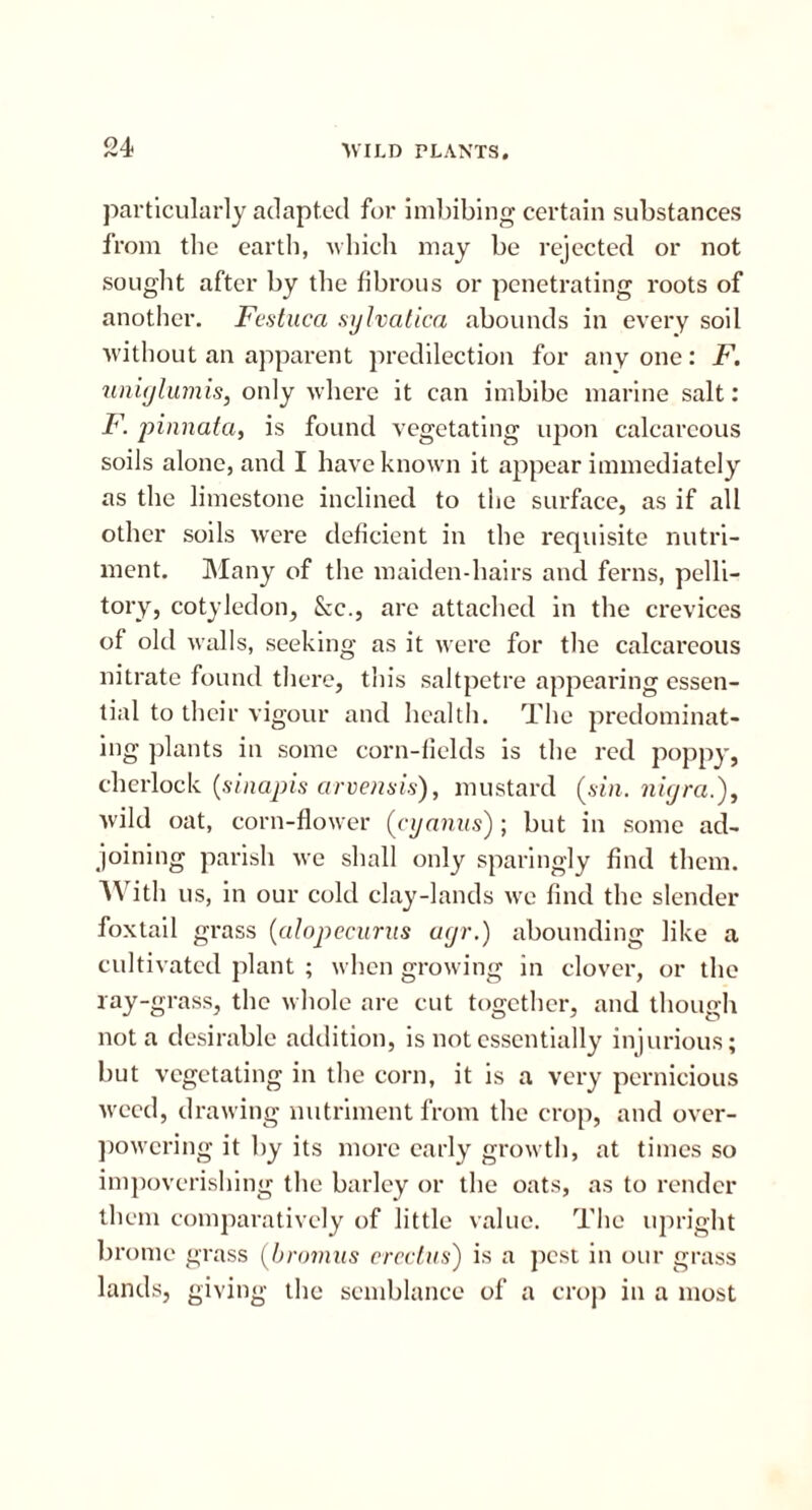 particularly adapted for imbibing certain substances from the earth, which may be rejected or not sought after by the fibrous or penetrating roots of another. Festuca sylvatica abounds in every soil without an apparent predilection for any one: F. uniglumis, only where it can imbibe marine salt: F. pinnatci, is found vegetating upon calcareous soils alone, and I have known it appear immediately as the limestone inclined to the surface, as if all other soils were deficient in the requisite nutri- ment. Many of the maiden-hairs and ferns, pelli- tory, cotyledon. See., are attached in the crevices of old walls, seeking as it were for the calcareous nitrate found there, this saltpetre appearing essen- tial to their vigour and health. The predominat- ing plants in some corn-fields is the red poppy, cherlock (sinapis arvensis), mustard (sin. nigra.), wild oat, corn-flower (cyanns); but in some ad- joining parish we shall only sparingly find them. With us, in our cold clay-lands we find the slender foxtail grass (alopecurus acjr.) abounding like a cultivated plant ; when growing in clover, or the ray-grass, the whole are cut together, and though not a desirable addition, is not essentially injurious; but vegetating in the corn, it is a very pernicious weed, drawing nutriment from the crop, and over- powering it by its more early growth, at times so impoverishing the barley or the oats, as to render th cm comparatively of little value. The upright brume grass (bromus erectus) is a pest in our grass lands, giving the semblance of a crop in a most