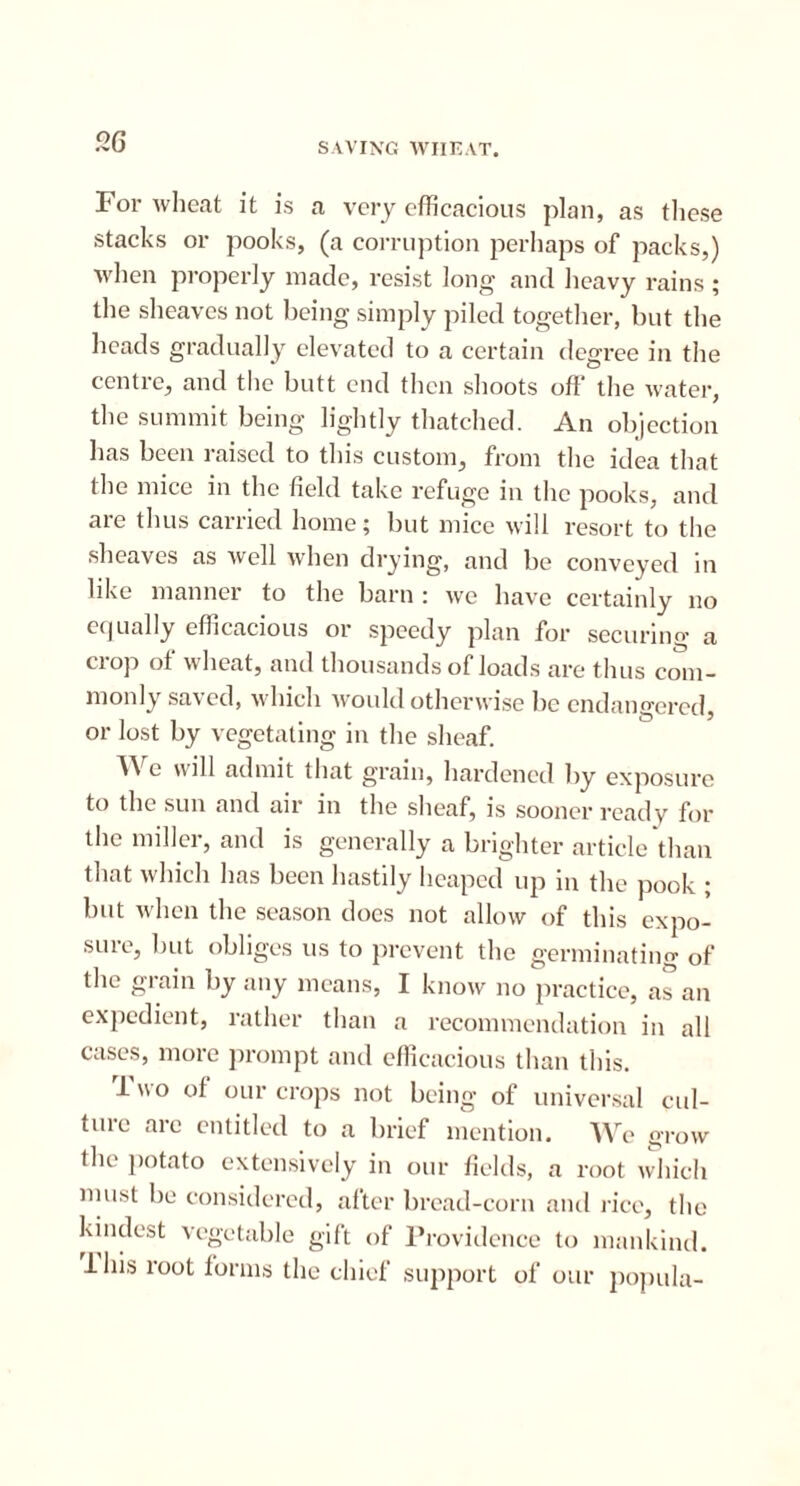 For wheat it is a very efficacious plan, as these stacks or pooks, (a corruption perhaps of packs,) when properly made, resist long and heavy rains ; the sheaves not being simply piled together, but the heads gradually elevated to a certain degree in the centre, and the butt end then shoots off the water, the summit being lightly thatched. An objection has been raised to this custom, from the idea that the mice in the field take refuge in the pooks, and are thus carried home; but mice will resort to the sheaves as well when drying, and be conveyed in like manner to the barn : we have certainly no equally efficacious or speedy plan for securing a crop of wheat, and thousands of loads are thus com- monly saved, which would otherwise be endangered, or lost by vegetating in the sheaf. W e will admit that grain, hardened by exposure to the sun and air in the sheaf, is sooner ready for the miller, and is generally a brighter article than that which has been hastily heaped up in the pook ; but when the season does not allow of this expo- sure, but obliges us to prevent the germinating of the grain by any means, I know no practice, as an expedient, rather than a recommendation in all cases, more prompt and efficacious than this. Two of our crops not being of universal cul- ture arc entitled to a brief mention. We grow the potato extensively in our fields, a root which must be considered, after bread-corn and rice, the kindest vegetable gift of Providence to mankind, lliis root forms the chief support of our popula-