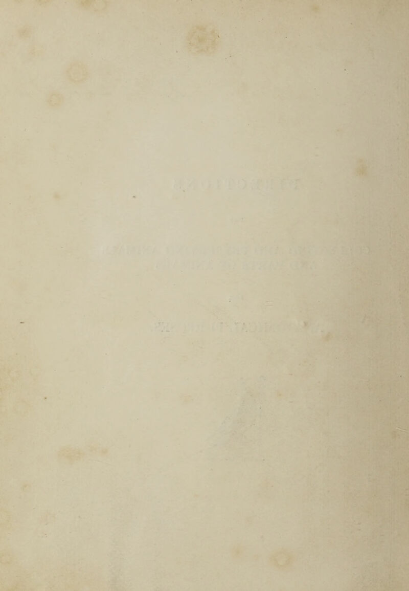 ■''?a M- - ^ '■ ir. •■■■a ■* _:?*:• -isp- ' s if ■ ■’f Ilftr; - 1.-<-r.-!^ - ■ • J' >; <iS - . *•  'I -t*.'. .. sr-^'