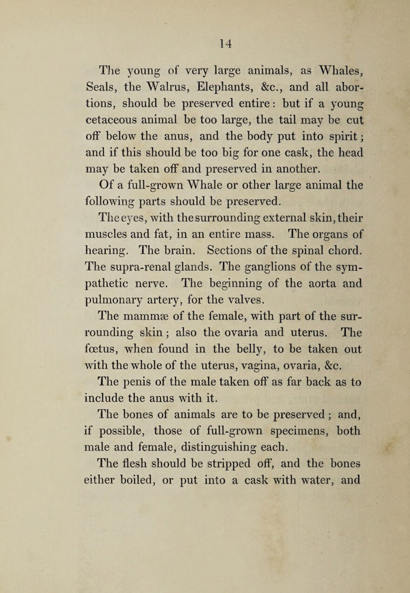 Tlie young of very large animals, as Whales, Seals, the Walrus, Elephants, &c., and all abor¬ tions, should be preserved entire: but if a young cetaceous animal be too large, the tail may be cut off below the anus, and the body put into spirit; and if this should be too big for one cask, the head may be taken off and preserved in another. Of a full-grown Whale or other large animal the following parts should be preserved. The eyes, with the surrounding external skin, their muscles and fat, in an entire mass. The organs of hearing. The brain. Sections of the spinal chord. The supra-renal glands. The ganglions of the sym¬ pathetic nerve. The beginning of the aorta and pulmonary artery, for the valves. The mammae of the female, with part of the sur¬ rounding skin; also the ovaria and uterus. The foetus, when found in the belly, to be taken out with the whole of the uterus, vagina, ovaria, &c. The penis of the male taken off as far back as to include the anus with it. The bones of animals are to be preserved ; and, if possible, those of full-grown specimens, both male and female, distinguishing each. The flesh should be stripped off, and the bones either boiled, or put into a cask with water, and