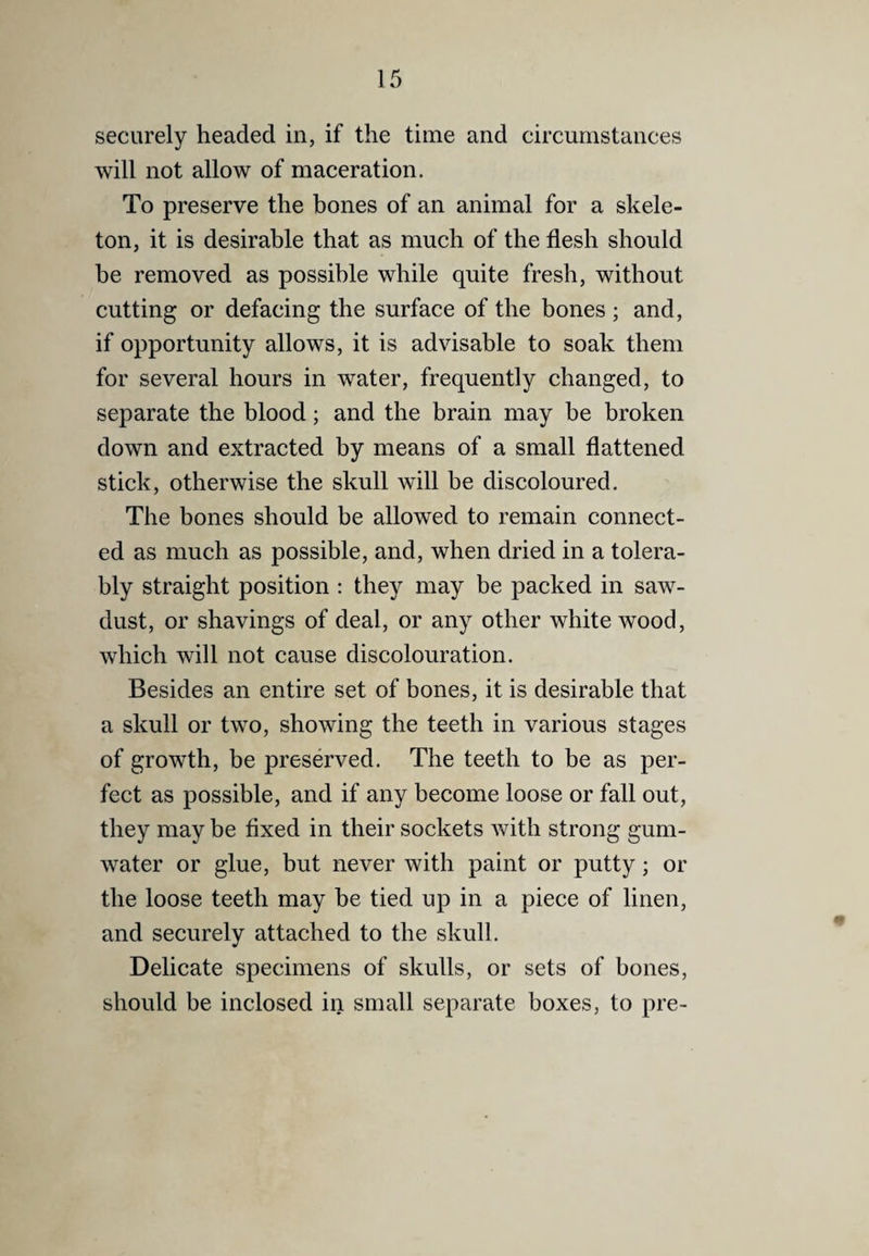 securely headed in, if the time and circumstances will not allow of maceration. To preserve the bones of an animal for a skele¬ ton, it is desirable that as much of the flesh should be removed as possible while quite fresh, without cutting or defacing the surface of the bones ; and, if opportunity allows, it is advisable to soak them for several hours in water, frequently changed, to separate the blood; and the brain may be broken down and extracted by means of a small flattened stick, otherwise the skull will be discoloured. The bones should be allowed to remain connect¬ ed as much as possible, and, when dried in a tolera¬ bly straight position ; they may be packed in saw¬ dust, or shavings of deal, or any other white wood, which will not cause discolouration. Besides an entire set of bones, it is desirable that a skull or two, showing the teeth in various stages of growth, be preserved. The teeth to be as per¬ fect as possible, and if any become loose or fall out, they may be fixed in their sockets with strong gum- water or glue, but never with paint or putty; or the loose teeth may he tied up in a piece of linen, and securely attached to the skull. Delicate specimens of skulls, or sets of bones, should be inclosed in small separate boxes, to pre-
