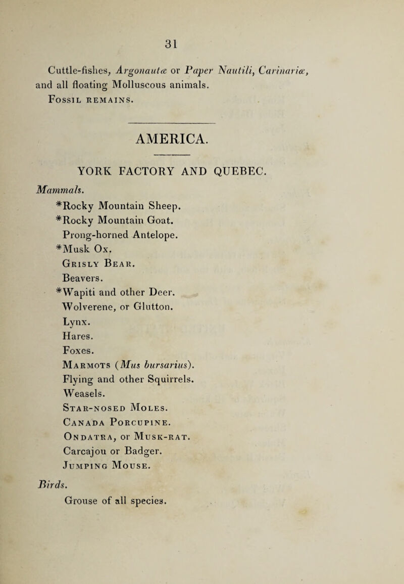 Cuttle-fishes, Argonauta or Paper Nautili, Carinarict;, and all floating Molluscous animals. Fossil remains. AMERICA. YORK FACTORY AND QUEBEC. Mammals. *Rocky Mountain Sheep. *Rocky Mountain Goat. Prong-horned Antelope. *Musk Ox. Grisly Bear. Beavers. * Wapiti and other Deer. Wolverene, or Glutton. Lynx. Hares. Foxes. Marmots {Mus bursarius). Flying and other Squirrels. Weasels. Star-nosed Moles. Canada Porcupine. Ondatra, or Musk-rat. Carcajou or Badger. Jumping Mouse. Birds. Grouse of all species.
