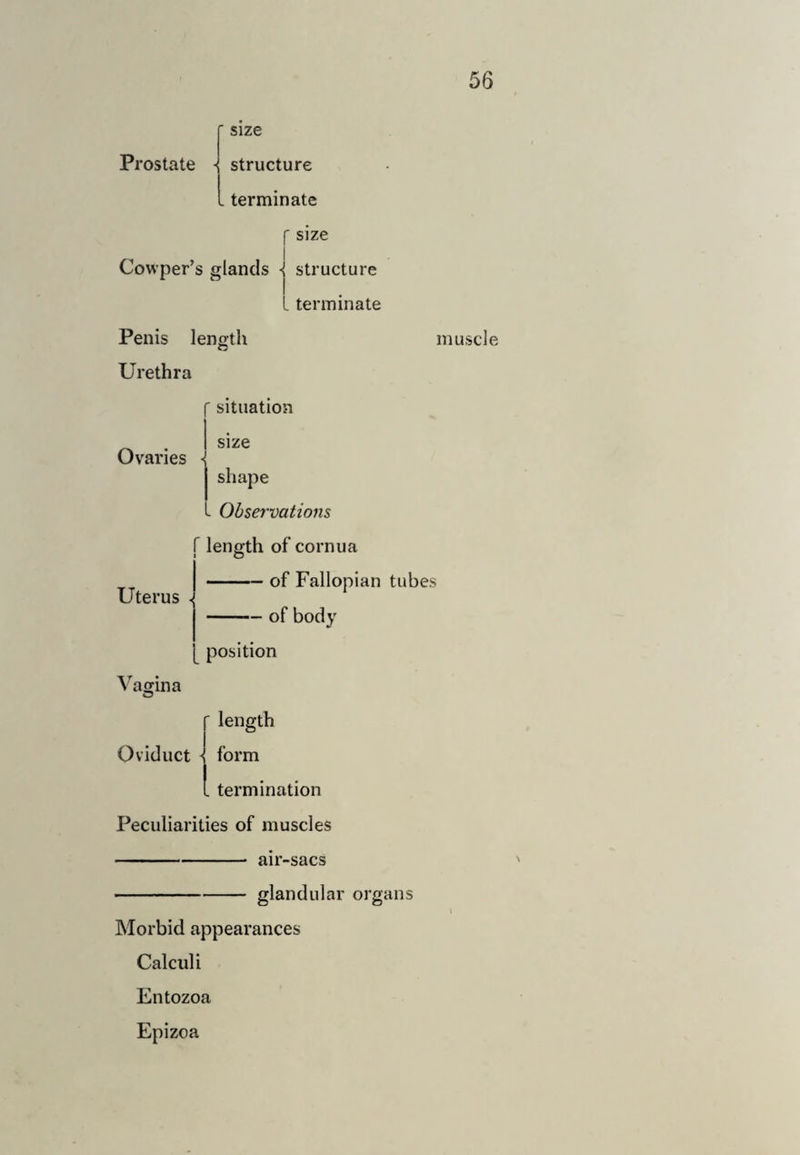 56 Prostate - size structure terminate f size Cowper’s glands -1 structure I terminate Penis length O Urethra muscle Ovaries { Uterus - r situation size shape - Observations r length of cornua — of Fallopian tubes -of body position \^agina length form Oviduct - lorm I terminati( termination Peculiarities of muscles - air-sacs -glandular organs Morbid appearances Calculi Entozoa Epizoa