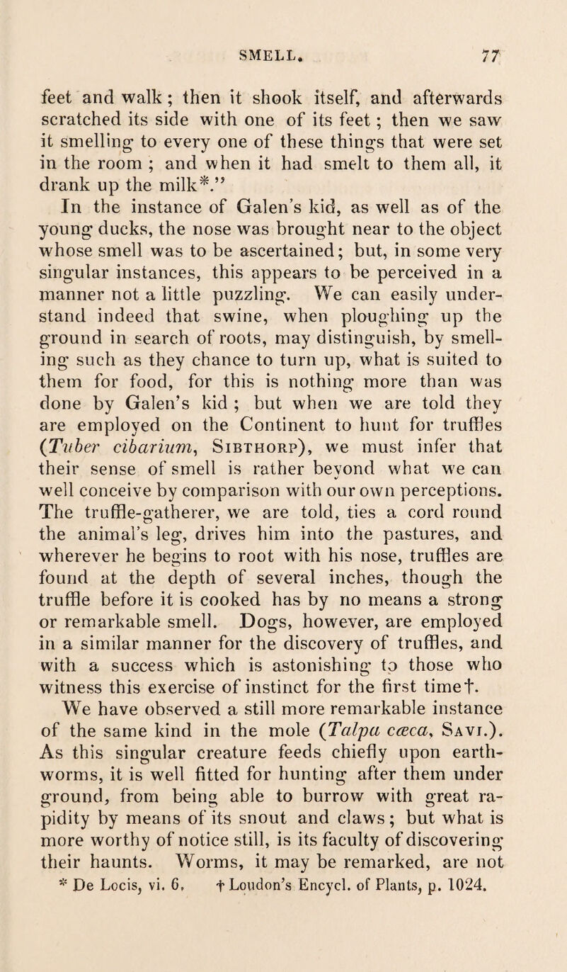 feet and walk; then it shook itself, and afterwards scratched its side with one of its feet; then we saw it smelling- to every one of these things that were set in the room ; and when it had smelt to them all, it drank up the milk*.” In the instance of Galen’s kid, as well as of the young ducks, the nose was brought near to the object whose smell was to be ascertained; but, in some very singular instances, this appears to be perceived in a manner not a little puzzling. We can easily under¬ stand indeed that swine, when ploughing up the ground in search of roots, may distinguish, by smell¬ ing such as they chance to turn up, what is suited to them for food, for this is nothing more than was done by Galen’s kid ; but when we are told they are employed on the Continent to hunt for truffles (Tuber cibarium, Sibthorp), we must infer that their sense of smell is rather bevond what we can well conceive by comparison with our own perceptions. The truffle-gatherer, we are told, ties a cord round the animal’s leg, drives him into the pastures, and wherever he begins to root with his nose, truffles are found at the depth of several inches, though the truffle before it is cooked has by no means a strong or remarkable smell. Dogs, however, are employed in a similar manner for the discovery of truffles, and with a success which is astonishing to those who witness this exercise of instinct for the first timet- We have observed a still more remarkable instance of the same kind in the mole (Talpa cceca, Savj.). As this singular creature feeds chiefly upon earth¬ worms, it is well fitted for hunting after them under ground, from being able to burrow with great ra¬ pidity by means of its snout and claws ; but what is more worthy of notice still, is its faculty of discovering their haunts. Worms, it may be remarked, are not * De Locis, vi. 6, f Loudon’s Encycl. of Plants, p. 1024.