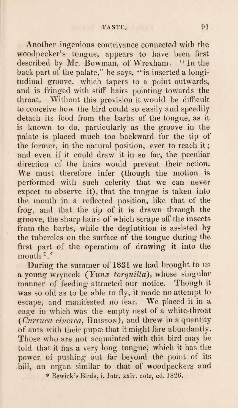 Another ingenious contrivance connected with the woodpecker’s tongue, appears to have been first described by Mr. Bowman, of Wrexham. “ In the back part of the palate,” he says, “is inserted a longi¬ tudinal groove, which tapers to a point outwards, and is fringed with stiff hairs pointing towards the throat. Without this provision it would be difficult to conceive how the bird could so easily and speedily detach its food from the barbs of the tongue, as it is known to do, particularly as the groove in the palate is placed much too backward for the tip of the former, in the natural position, ever to reach it; and even if it could draw it in so far, the peculiar direction of the hairs would prevent their action. We must therefore infer (though the motion is performed with such celerity that we can never expect to observe it), that the tongue is taken into the mouth in a reflected position, like that of the frog, and that the tip of it is drawn through the groove, the sharp hairs of which scrape off the insects from the barbs, while the deglutition is assisted by the tubercles on the surface of the tongue during the first part of the operation of drawing it into the mouth*.’’ During the summer of 1831 we had brought to us a young wryneck (Yunx iorquilla), whose singular manner of feeding attracted our notice. Though it was so old as to be able to fly, it made no attempt to escape, and manifested no fear. We placed it in a cage in which was the empty nest of a white-throat (Ourruca cinerea, Brisson), and threw in a quantity of ants with their pupae that it might fare abundantly. Those who are not acquainted with this bird may be told that it has a very long tongue, which it has the power of pushing out far beyond the point of its bill, an organ similar to that of woodpeckers and * Bewick’s Birds, i. Inti’, xxiv. note, ed, J826.