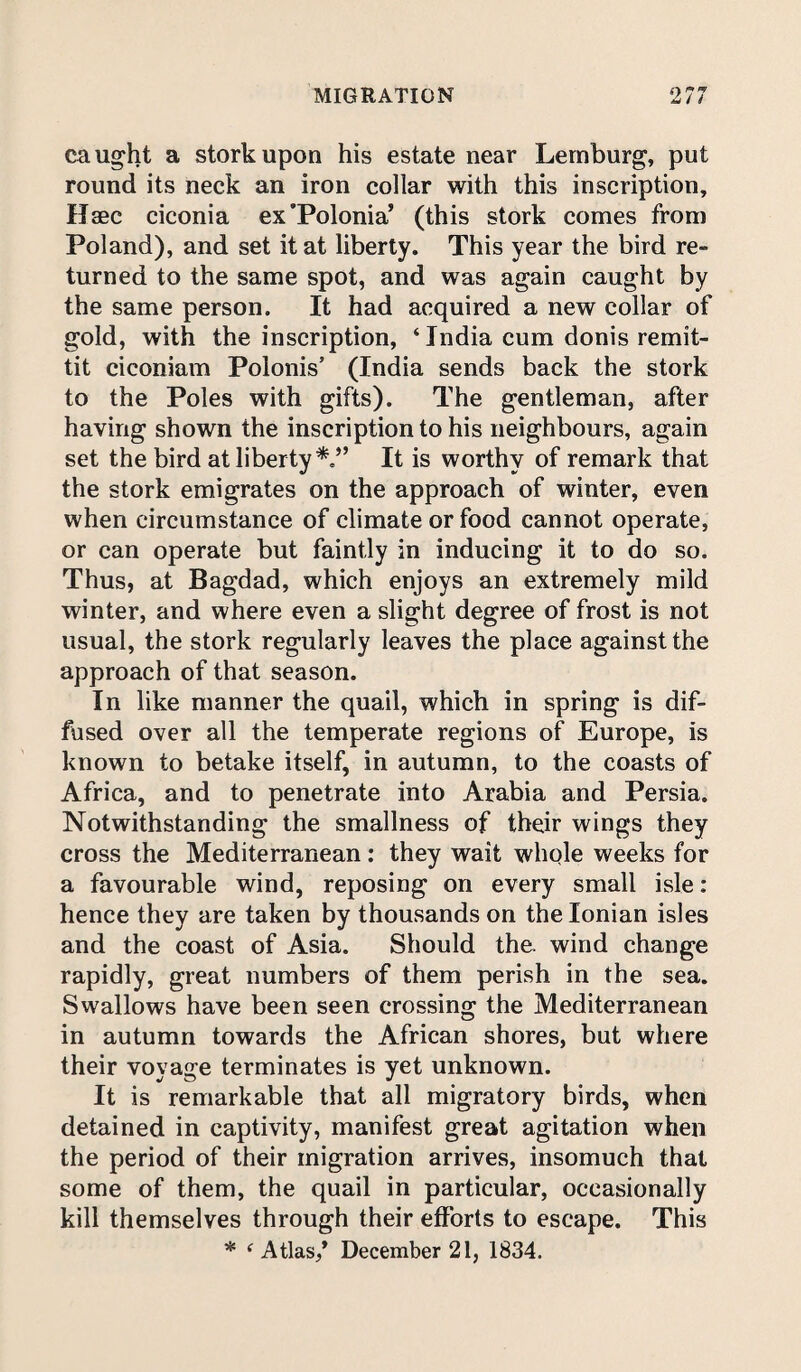 caught a stork upon his estate near Lemburg, put round its neck an iron collar with this inscription, Haec ciconia ex’Polonia’ (this stork comes from Poland), and set it at liberty. This year the bird re¬ turned to the same spot, and was again caught by the same person. It had acquired a new collar of gold, with the inscription, ‘ India cum donis remit- tit ciconiam Polonis’ (India sends back the stork to the Poles with gifts). The gentleman, after having shown the inscription to his neighbours, again set the bird at liberty It is worthy of remark that the stork emigrates on the approach of winter, even when circumstance of climate or food cannot operate, or can operate but faintly in inducing it to do so. Thus, at Bagdad, which enjoys an extremely mild winter, and where even a slight degree of frost is not usual, the stork regularly leaves the place against the approach of that season. In like manner the quail, which in spring is dif¬ fused over all the temperate regions of Europe, is known to betake itself, in autumn, to the coasts of Africa, and to penetrate into Arabia and Persia. Notwithstanding the smallness of their wings they cross the Mediterranean: they wait whole weeks for a favourable wind, reposing on every small isle: hence they are taken by thousands on the Ionian isles and the coast of Asia. Should the. wind change rapidly, great numbers of them perish in the sea. Swallows have been seen crossing the Mediterranean in autumn towards the African shores, but where their voyage terminates is yet unknown. It is remarkable that all migratory birds, when detained in captivity, manifest great agitation when the period of their migration arrives, insomuch that some of them, the quail in particular, occasionally kill themselves through their efforts to escape. This * e Atlas/ December 21, 1834.