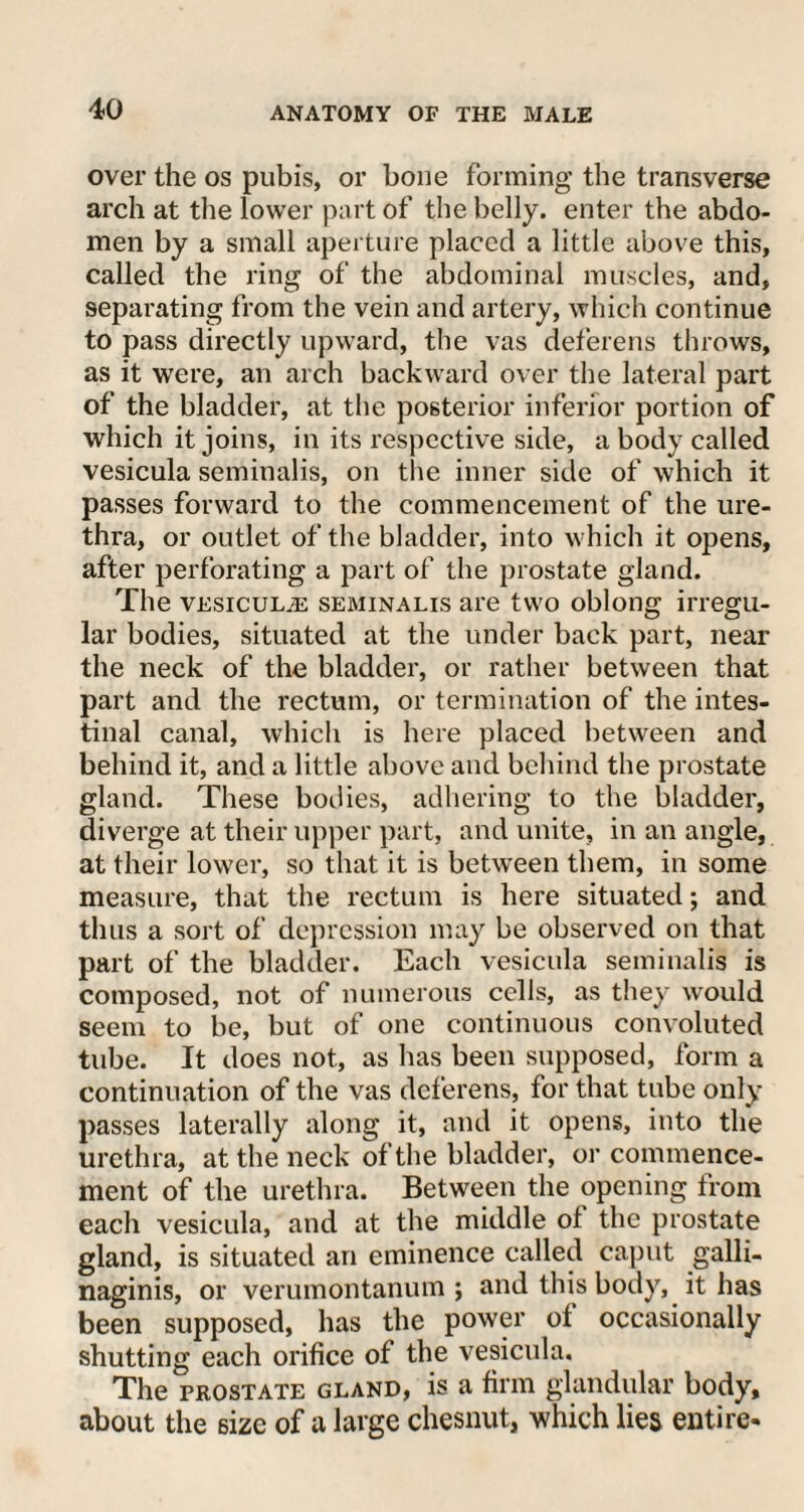 over the os pubis, or bone forming the transverse arch at the lower part of the belly, enter the abdo¬ men by a small aperture placed a little above this, called the ring of the abdominal muscles, and, separating from the vein and artery, which continue to pass directly upward, the vas deferens throws, as it were, an arch backward over the lateral part of the bladder, at the posterior inferior portion of which it joins, in its respective side, a body called vesicula seminalis, on the inner side of which it passes forward to the commencement of the ure¬ thra, or outlet of the bladder, into which it opens, after perforating a part of the prostate gland. The vesiculaj seminalis are two oblong irregu¬ lar bodies, situated at the under back part, near the neck of the bladder, or rather between that part and the rectum, or termination of the intes¬ tinal canal, which is here placed between and behind it, and a little above and behind the prostate gland. These bodies, adhering to the bladder, diverge at their upper part, and unite, in an angle, at their lower, so that it is between them, in some measure, that the rectum is here situated; and thus a sort of depression may be observed on that part of the bladder. Each vesicula seminalis is composed, not of numerous cells, as they would seem to lie, but of one continuous convoluted tube. It does not, as has been supposed, form a continuation of the vas deferens, for that tube only- passes laterally along it, and it opens, into the urethra, at the neck of the bladder, or commence¬ ment of the urethra. Between the opening from each vesicula, and at the middle ol the prostate gland, is situated an eminence called caput galli- naginis, or verumontanum ; and this body, it has been supposed, has the power of occasionally shutting each orifice of the vesicula. The prostate gland, is a firm glandular body, about the size of a large chesnut, which lies entire-